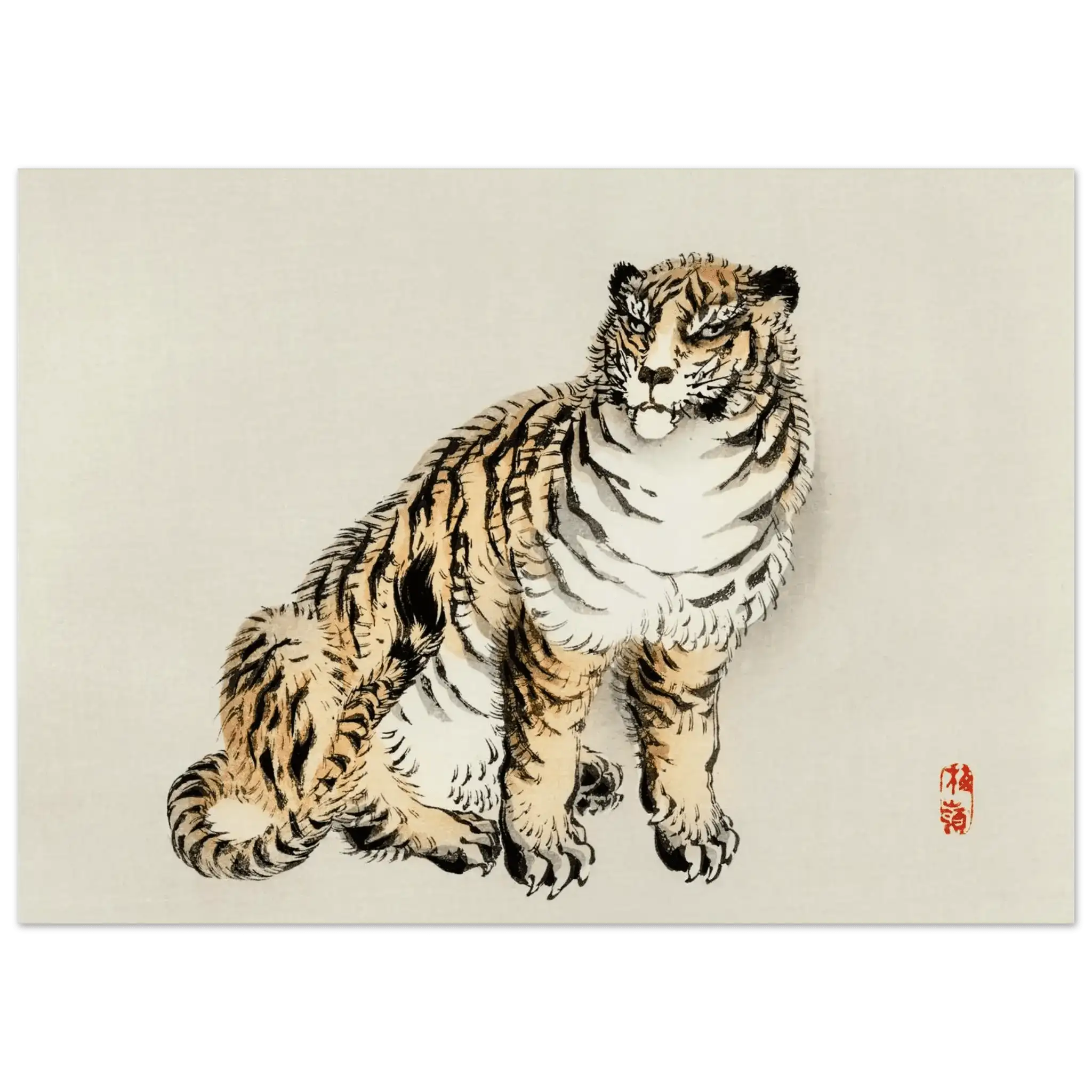 Der Tiger - Fine Art Prints - HINORI