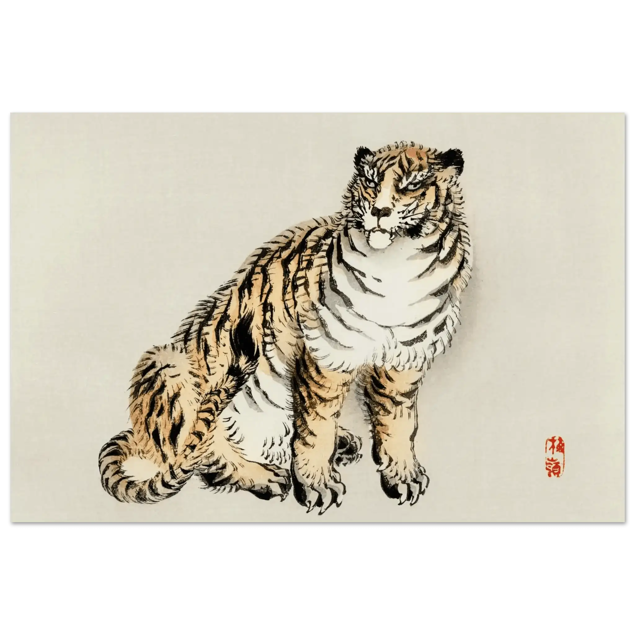 Der Tiger - Fine Art Prints - HINORI