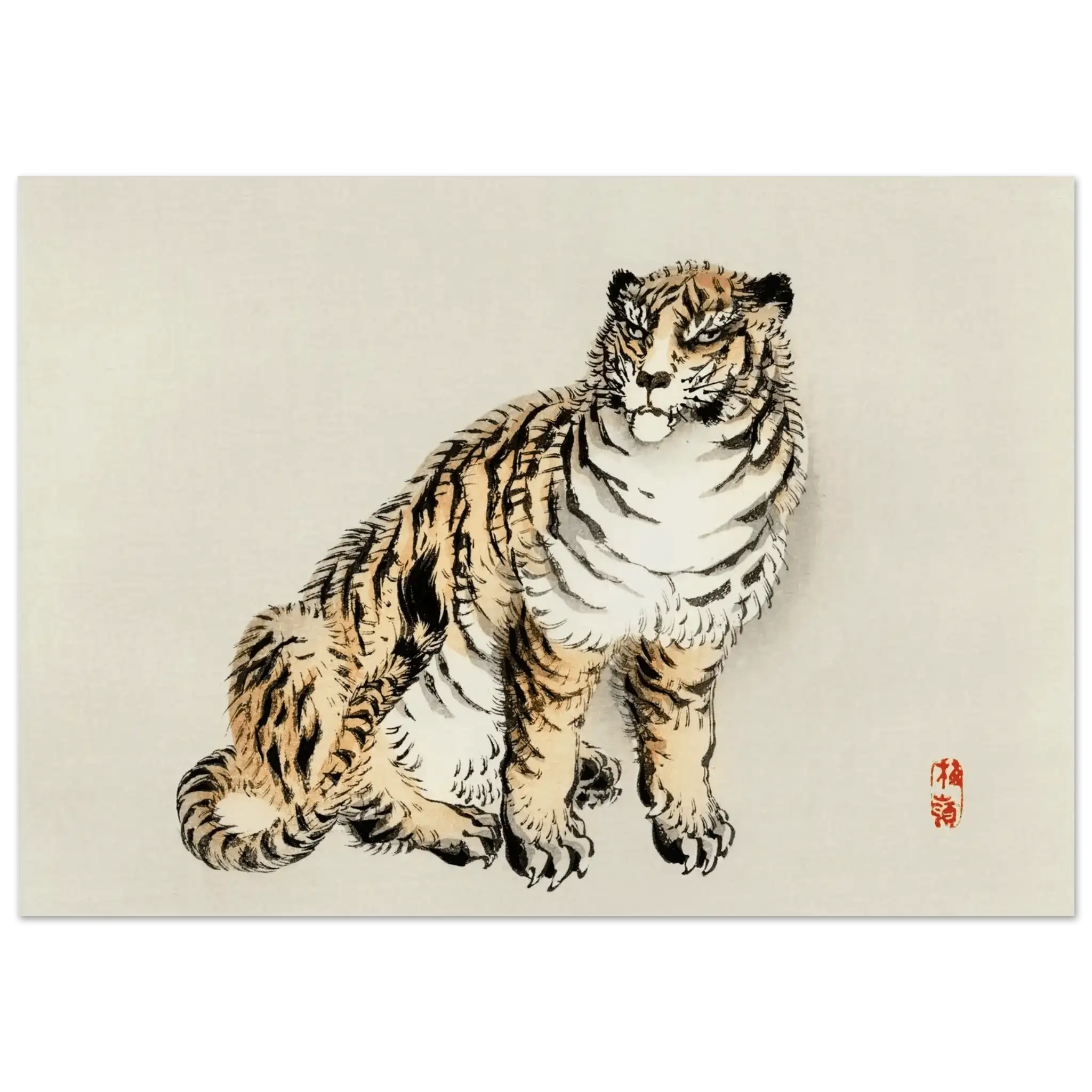 Der Tiger - Fine Art Prints - HINORI