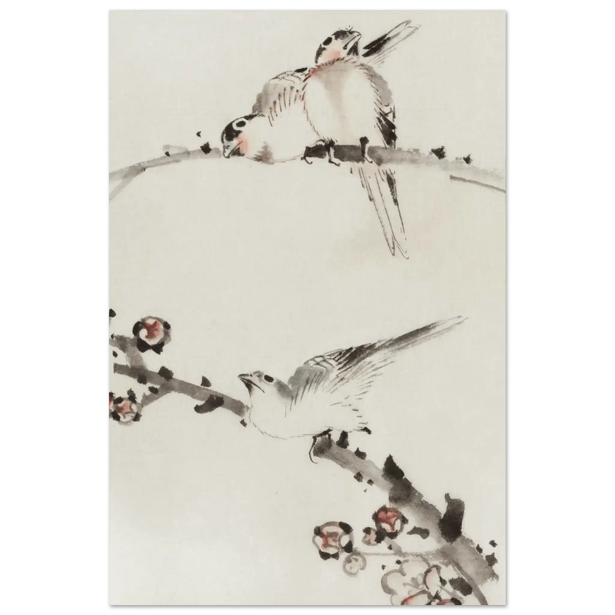 Drei Vögel auf Zweigen - Fine Art Prints - HINORI