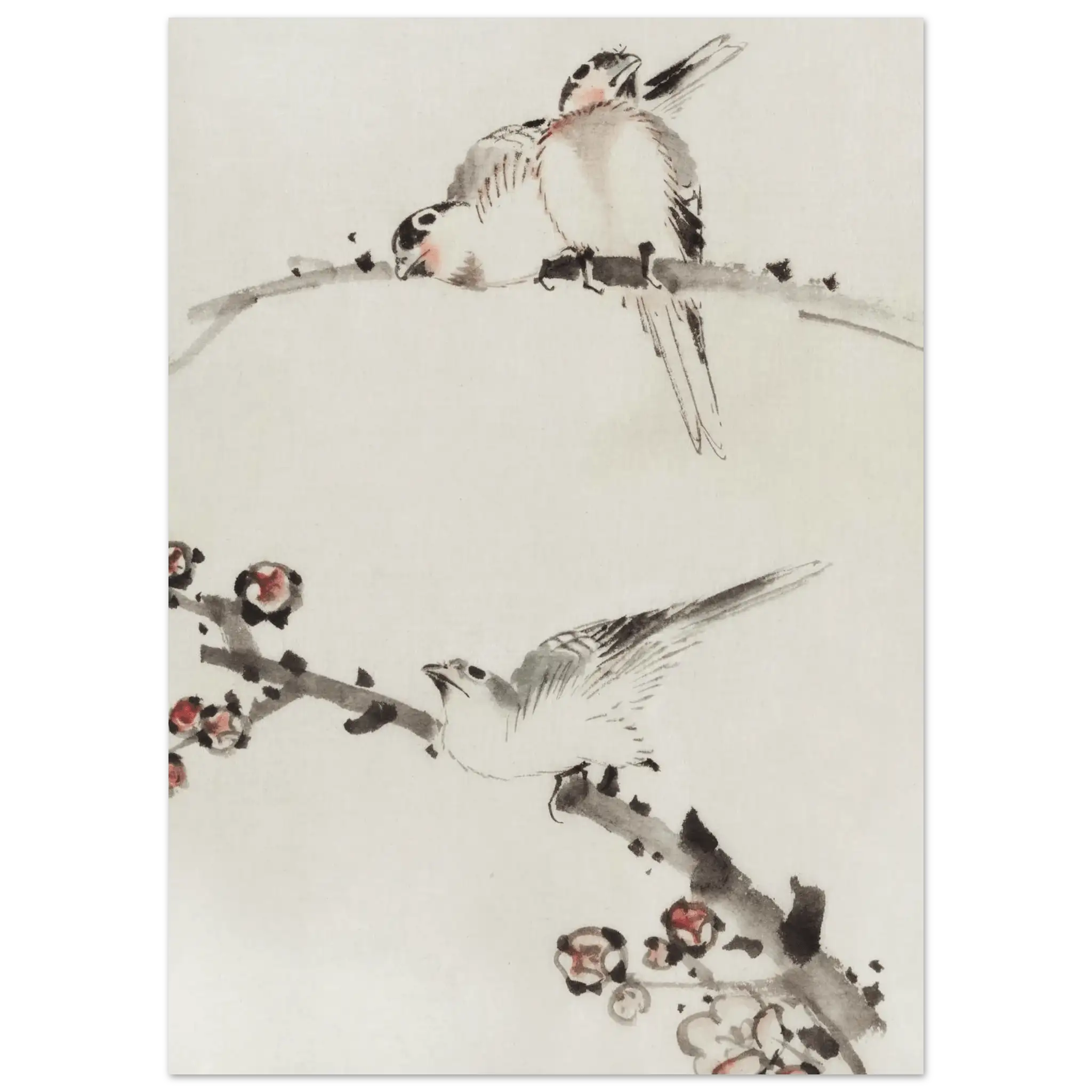 Drei Vögel auf Zweigen - Fine Art Prints - HINORI