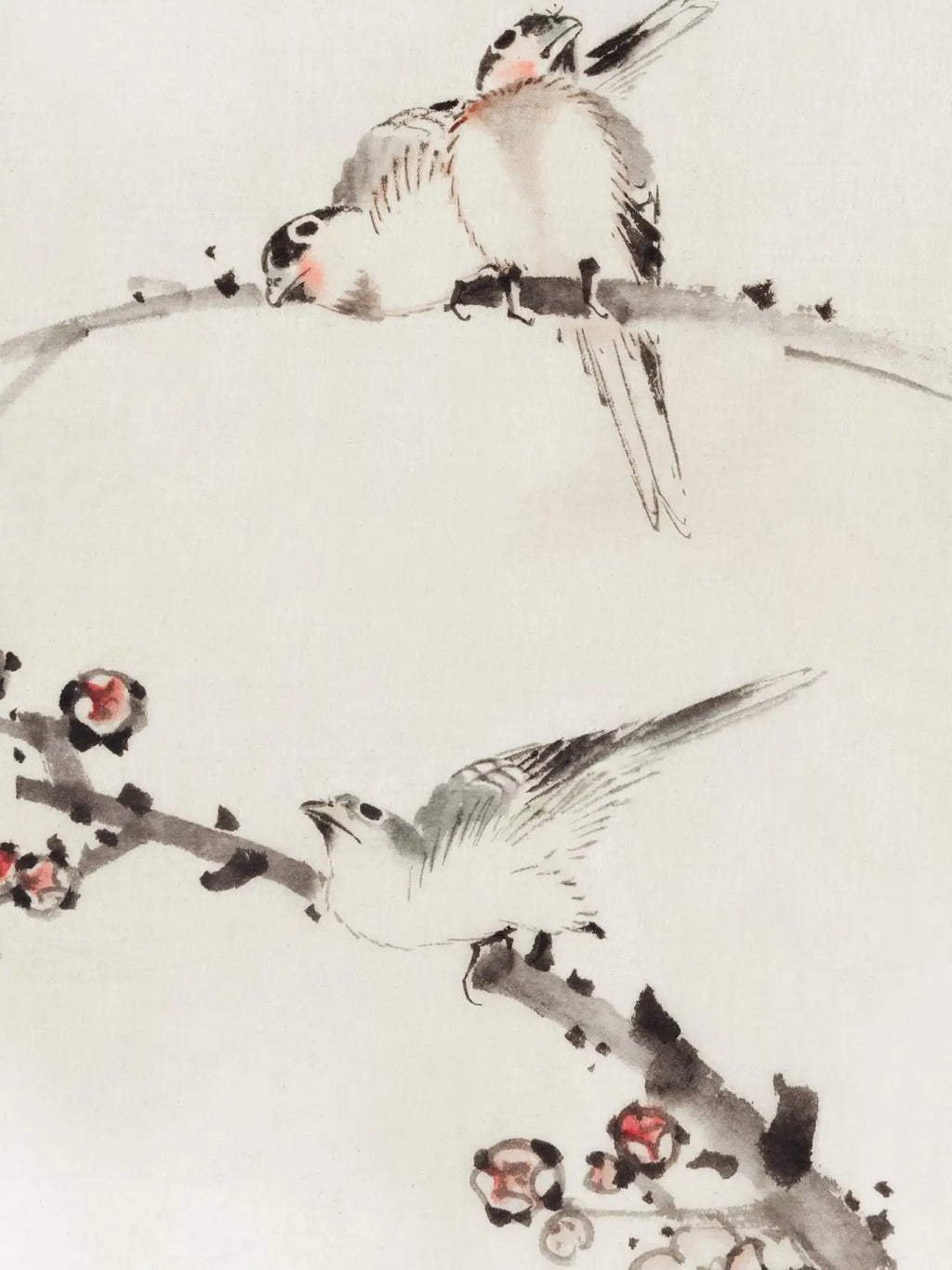 Drei Vögel auf Zweigen - Signature Collection - HINORI