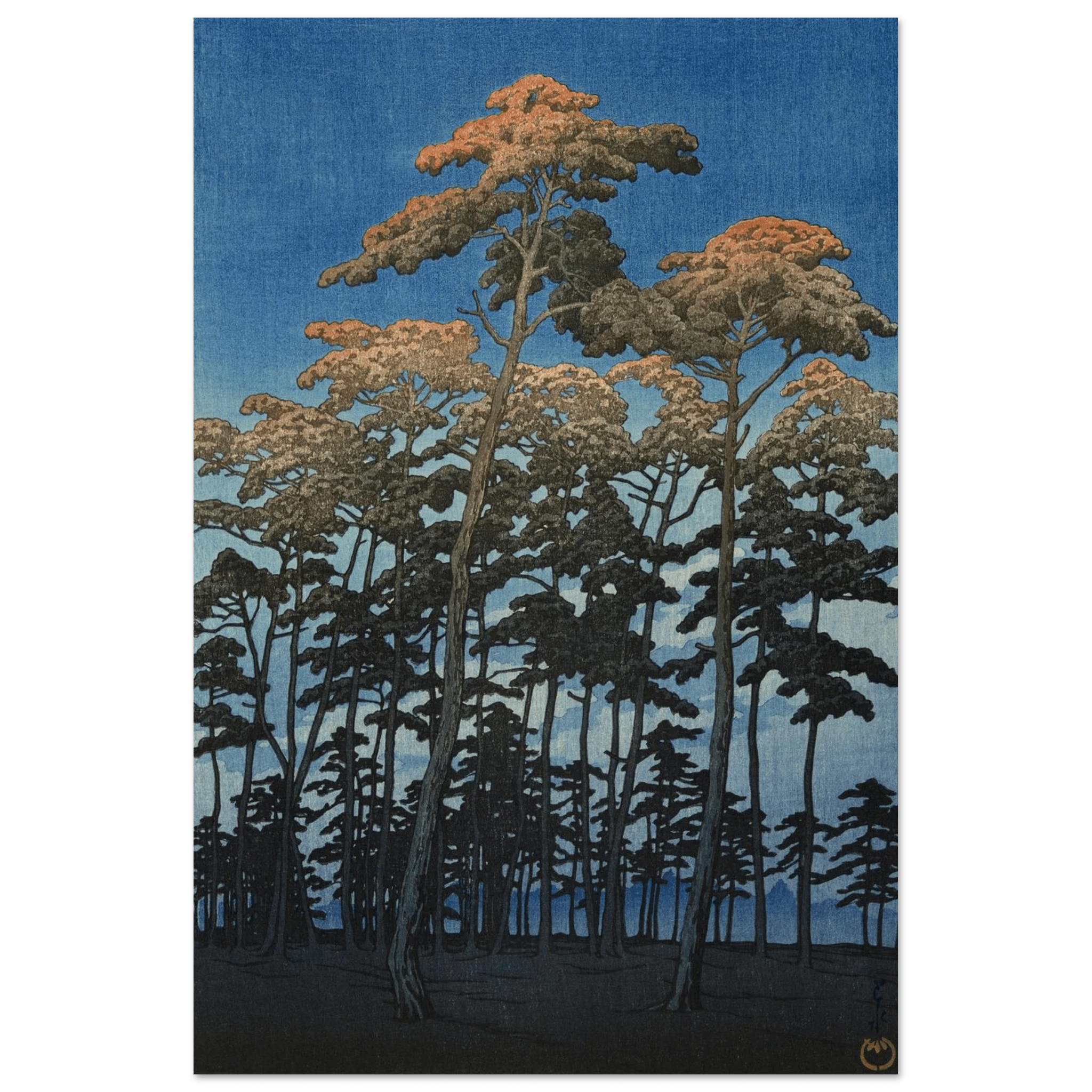 Hikawa - Park in Ōmiya - Fine Art Prints - HINORI