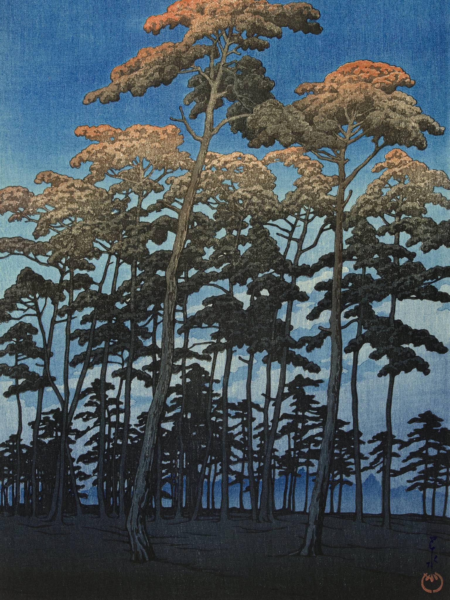 Hikawa-Park in Ōmiya - Signature Collection