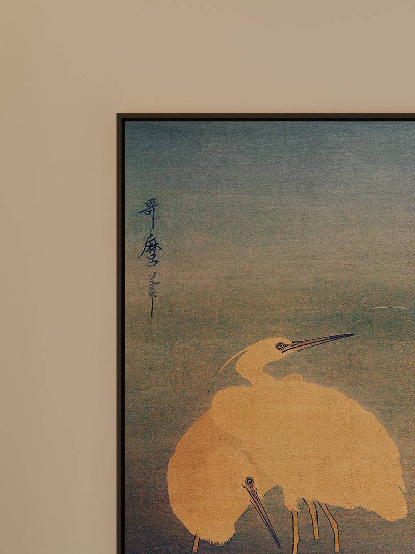 Kormoran und Reiher - Signature Collection