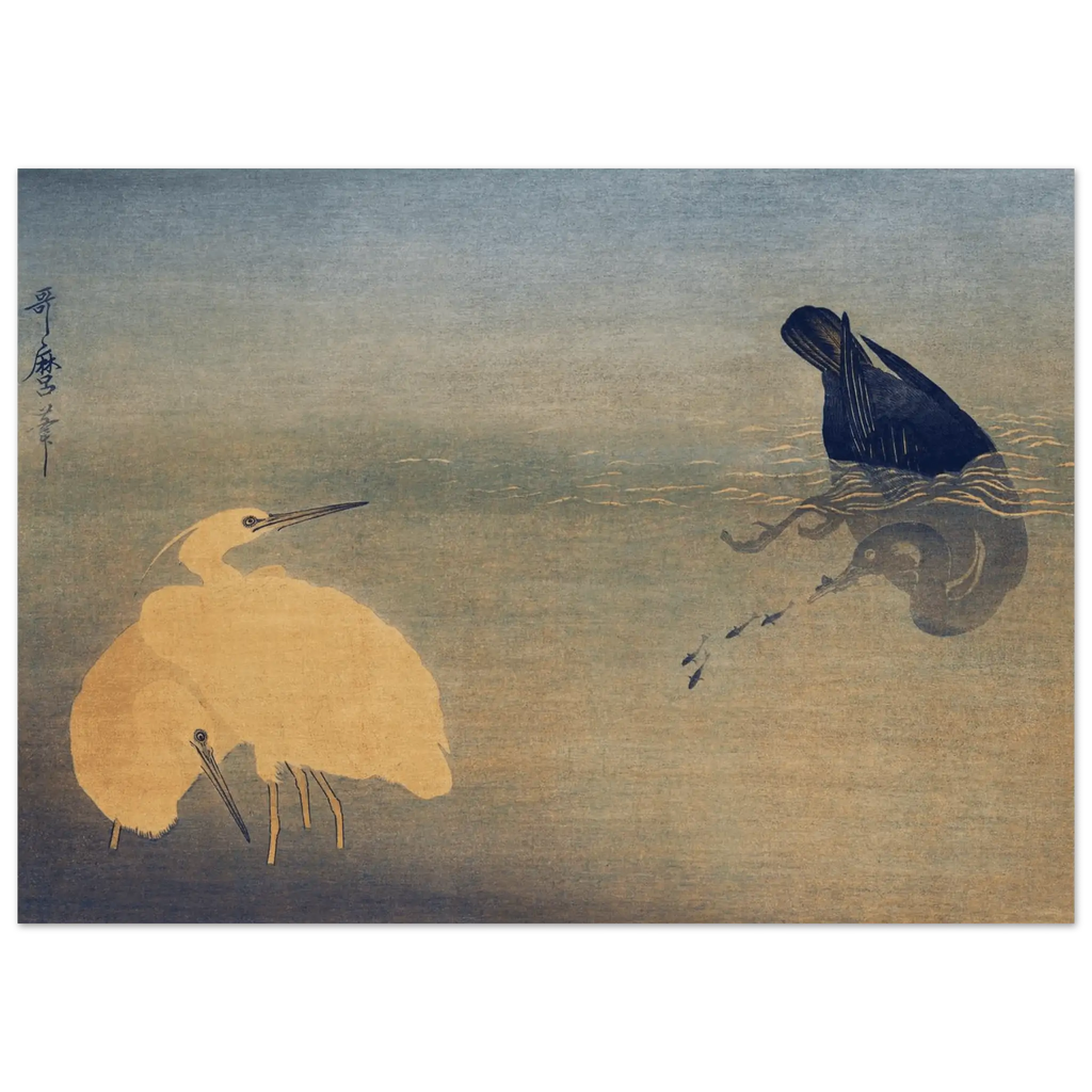 Kormoran und Reiher - Fine Art Prints - HINORI