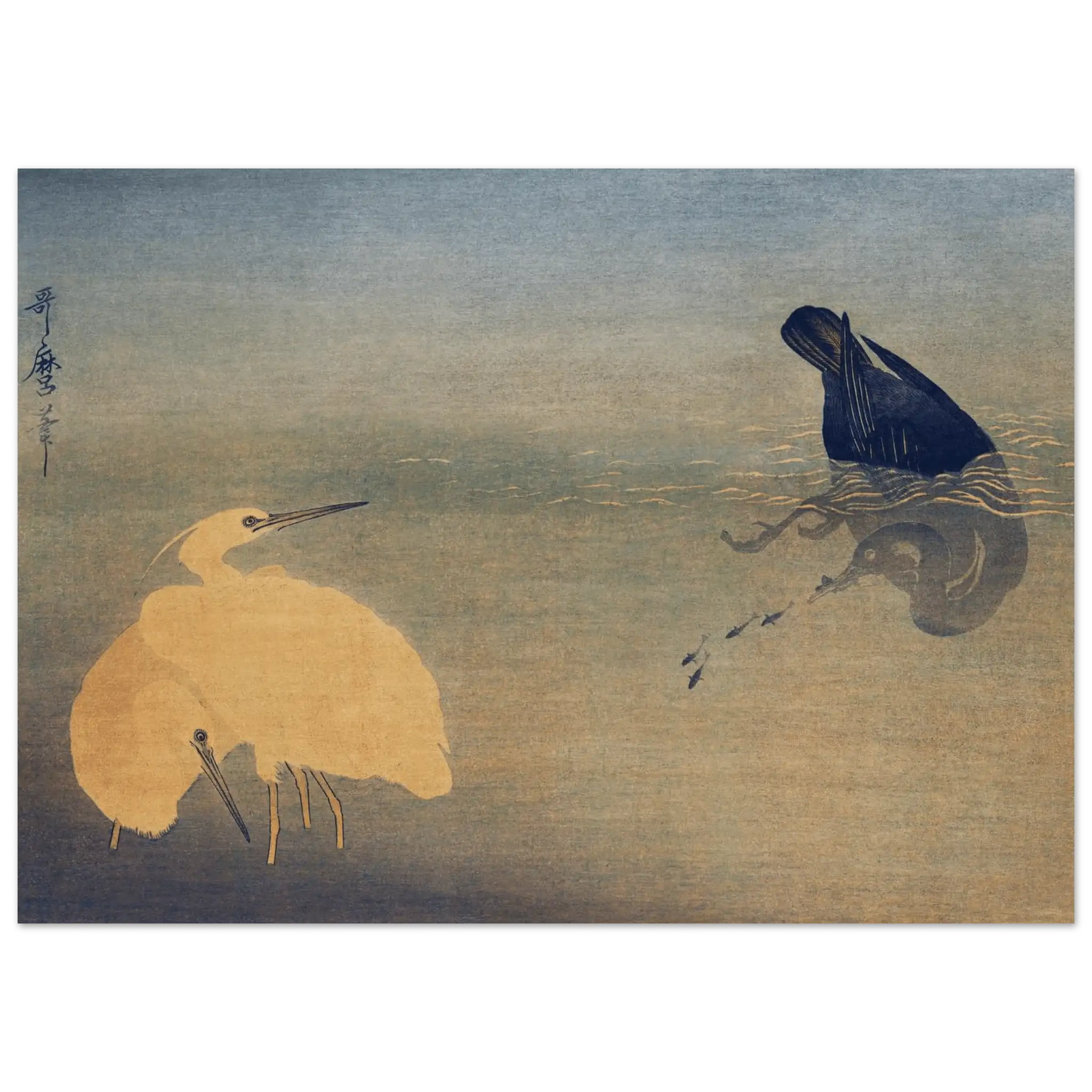 Kormoran und Reiher - Fine Art Prints - HINORI
