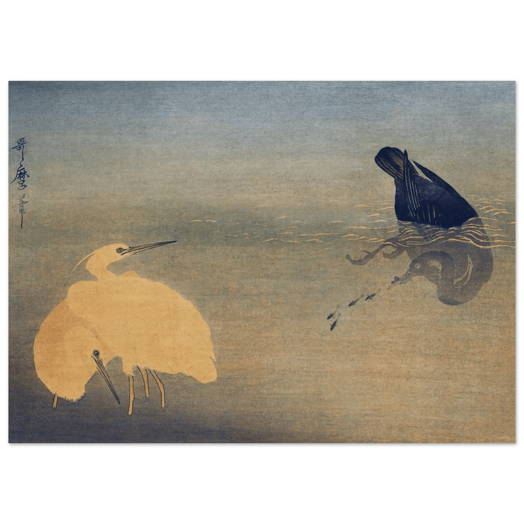 Kormoran und Reiher - Fine Art Prints - HINORI