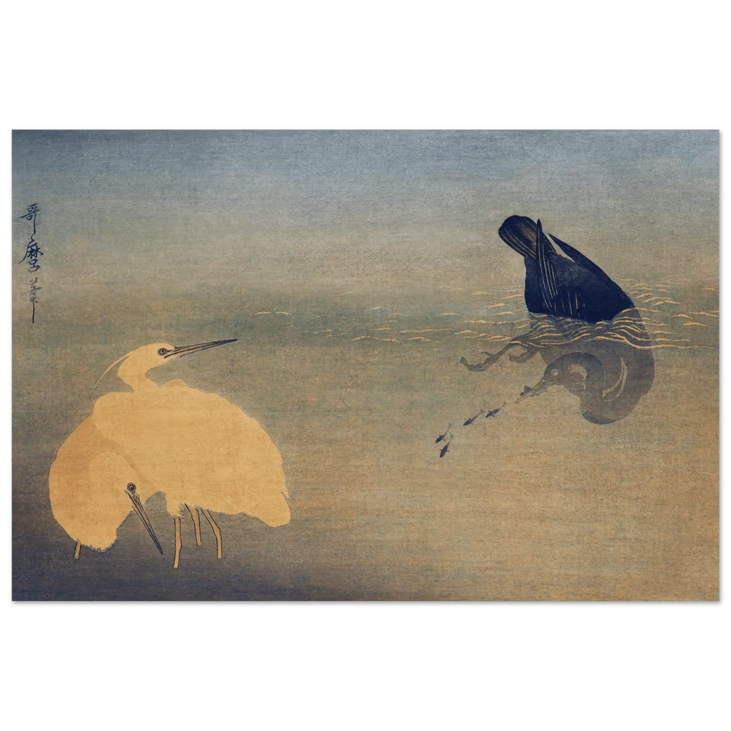 Kormoran und Reiher - Fine Art Prints - HINORI