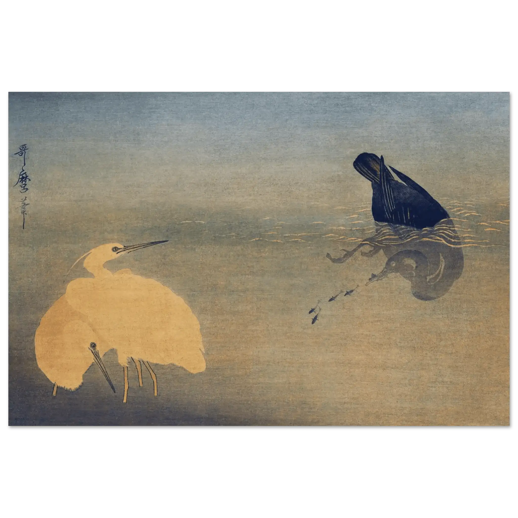 Kormoran und Reiher - Fine Art Prints - HINORI