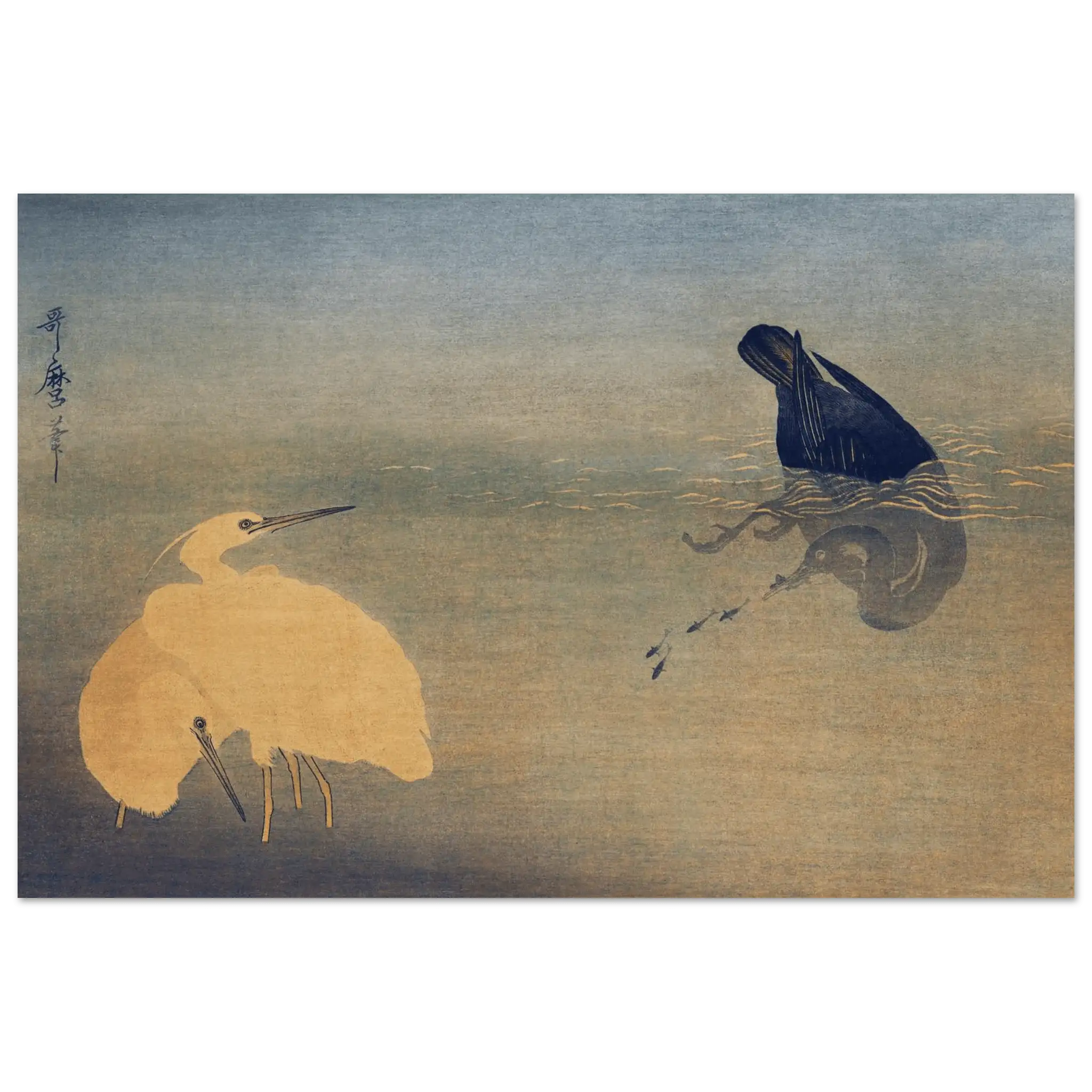 Kormoran und Reiher - Fine Art Prints - HINORI