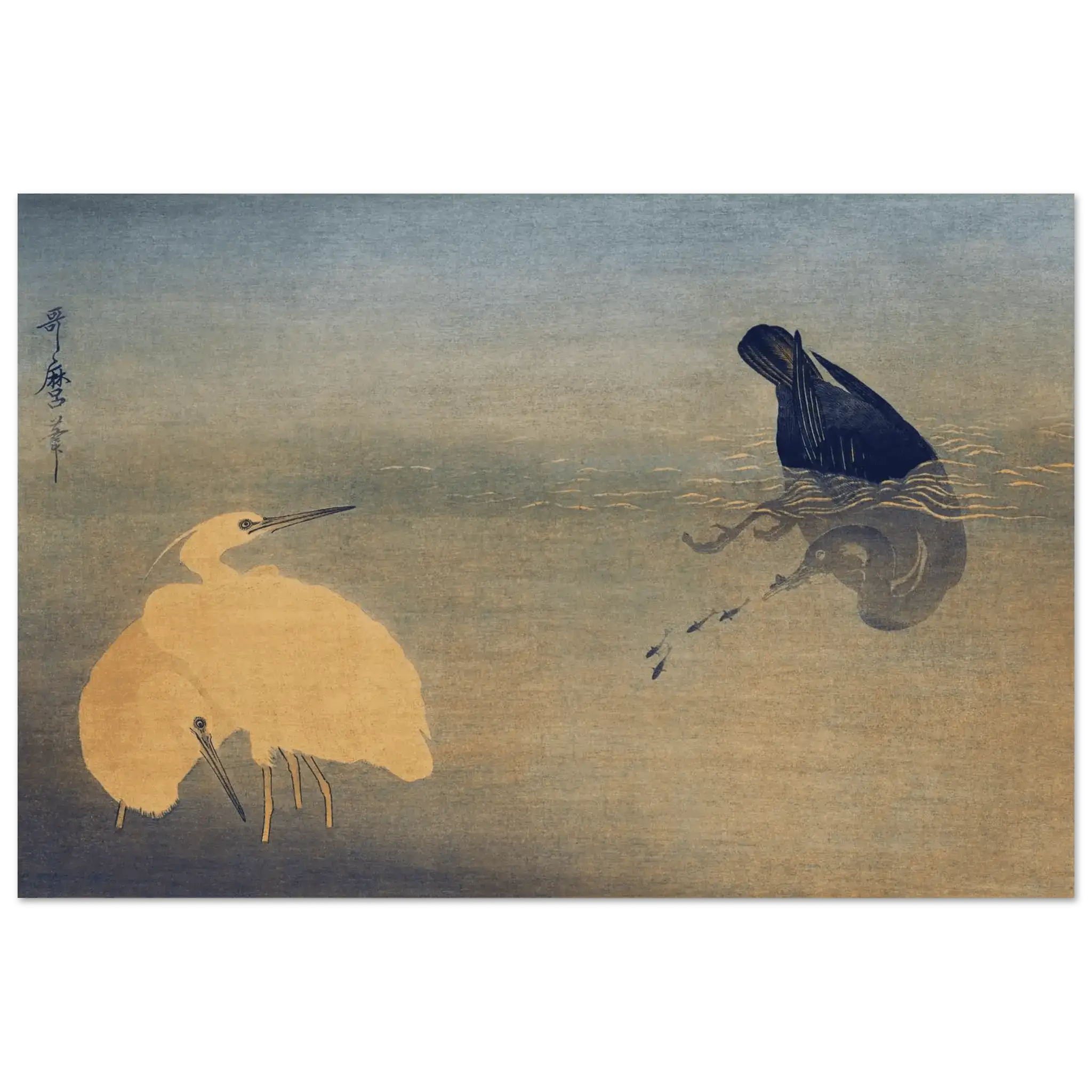 Kormoran und Reiher - Fine Art Prints - HINORI