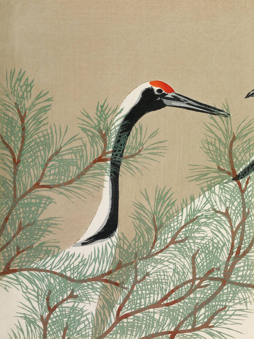 Kraniche im Kiefernwald - Signature Collection