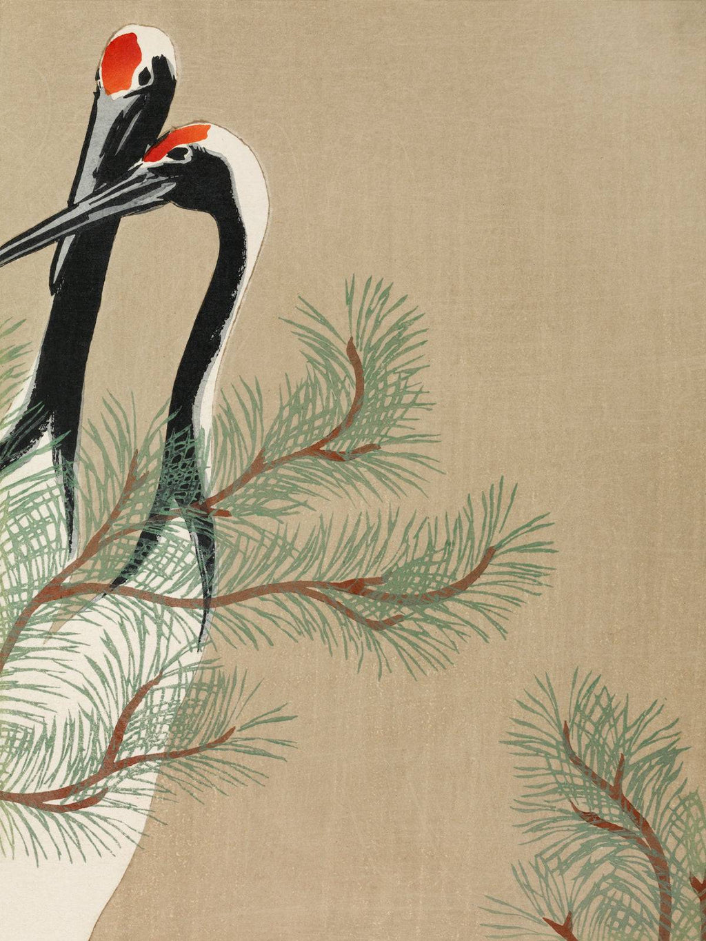 Kraniche im Kiefernwald - Signature Collection