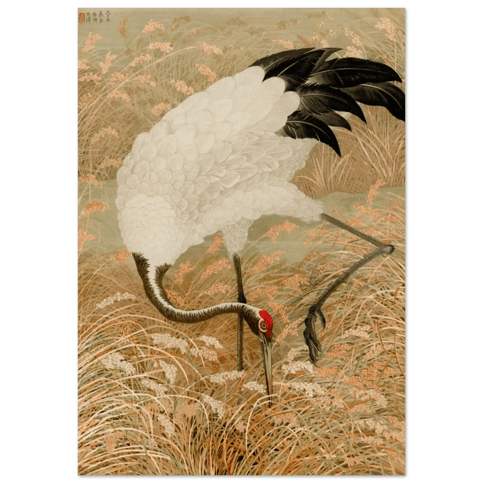 Kranich im Reisfeld - Fine Art Prints - HINORI