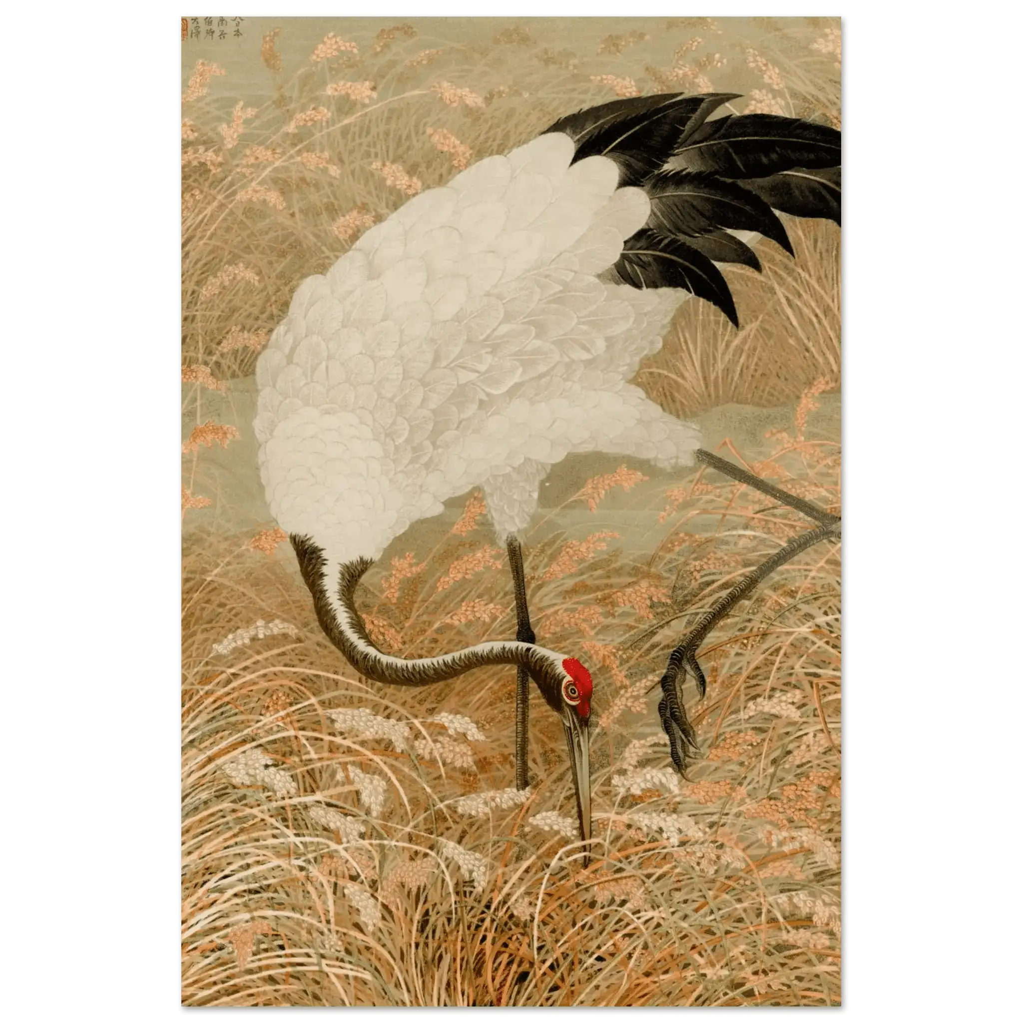 Kranich im Reisfeld - Fine Art Prints - HINORI