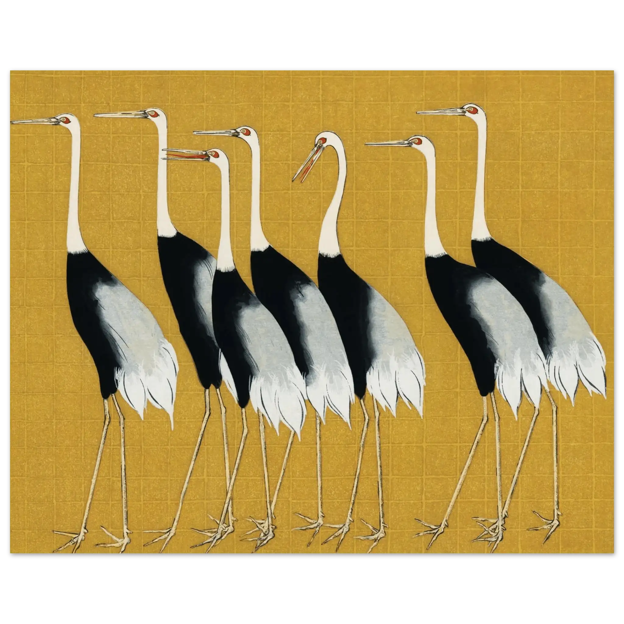 Kraniche der Harmonie - Fine Art Prints - HINORI