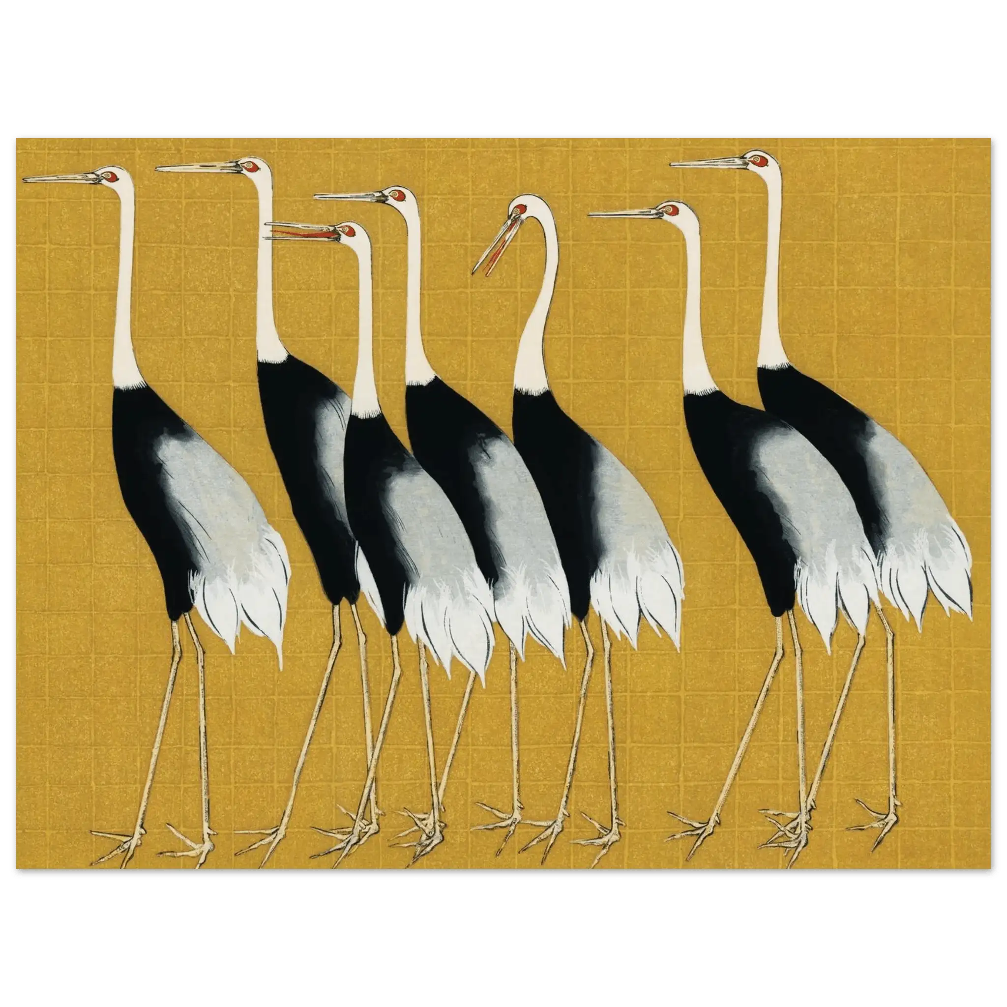 Kraniche der Harmonie - Fine Art Prints - HINORI