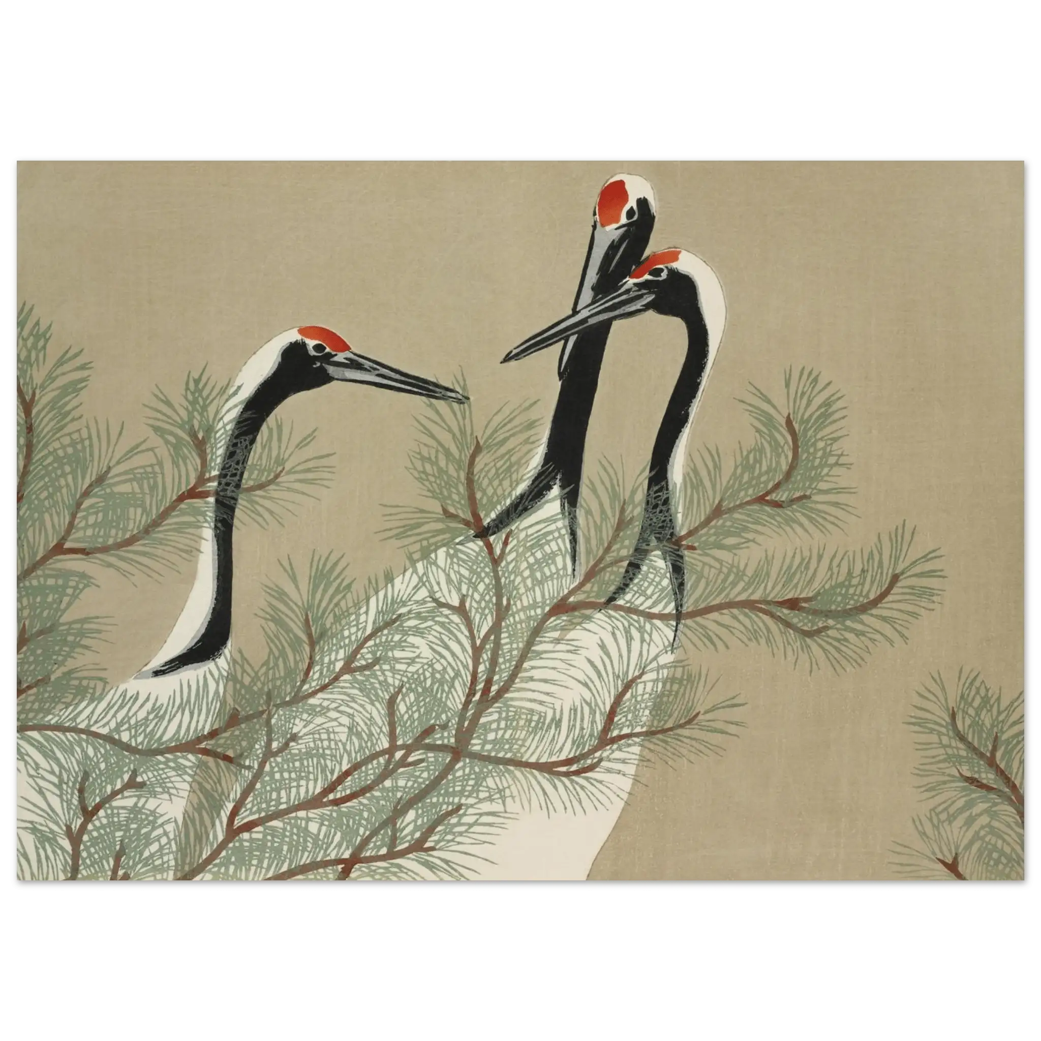 Kraniche im Kiefernwald - Fine Art Prints - HINORI