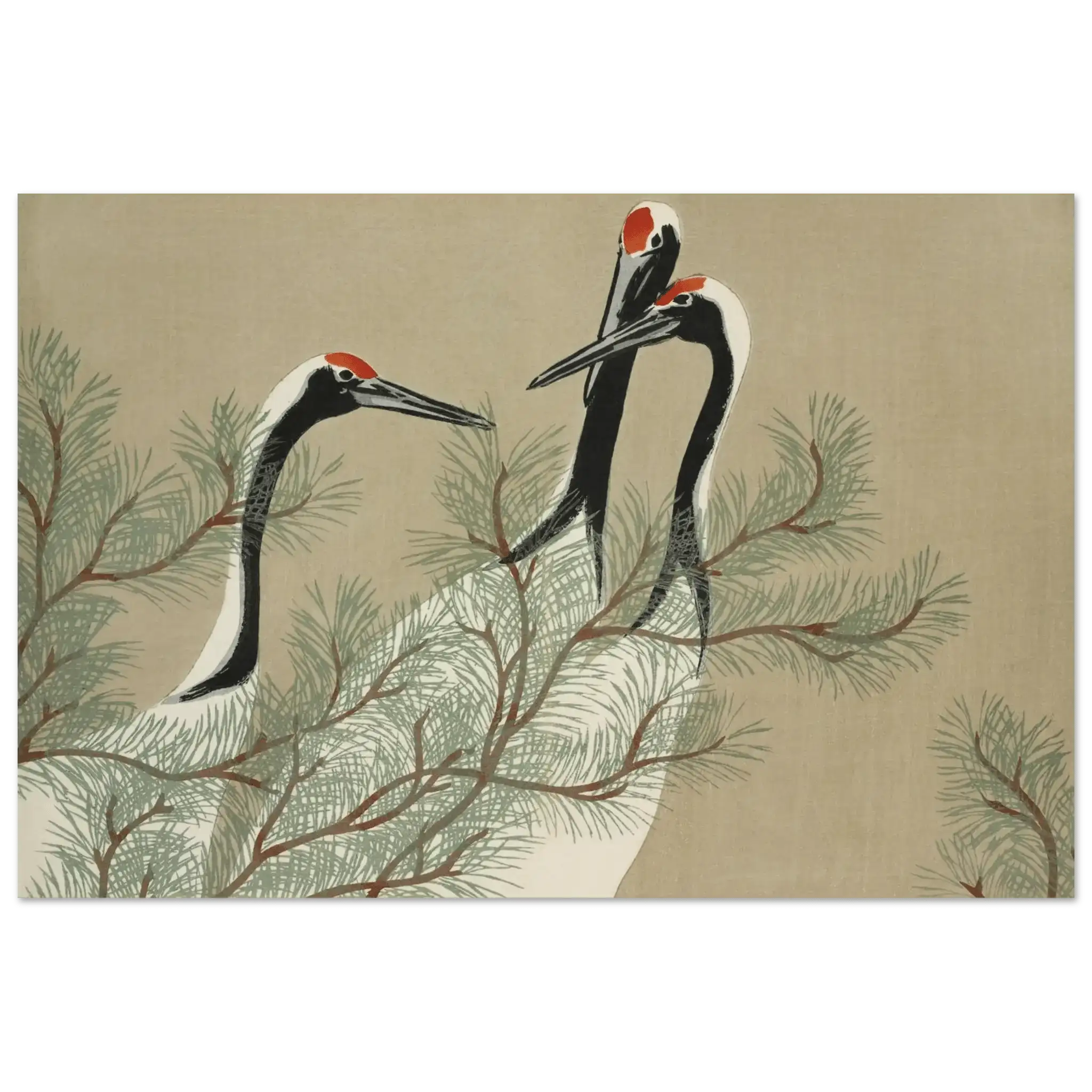 Kraniche im Kiefernwald - Fine Art Prints - HINORI
