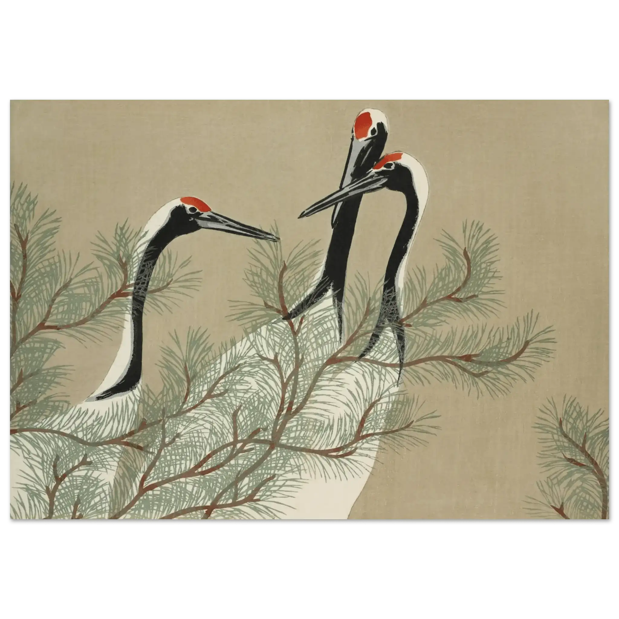 Kraniche im Kiefernwald - Fine Art Prints - HINORI