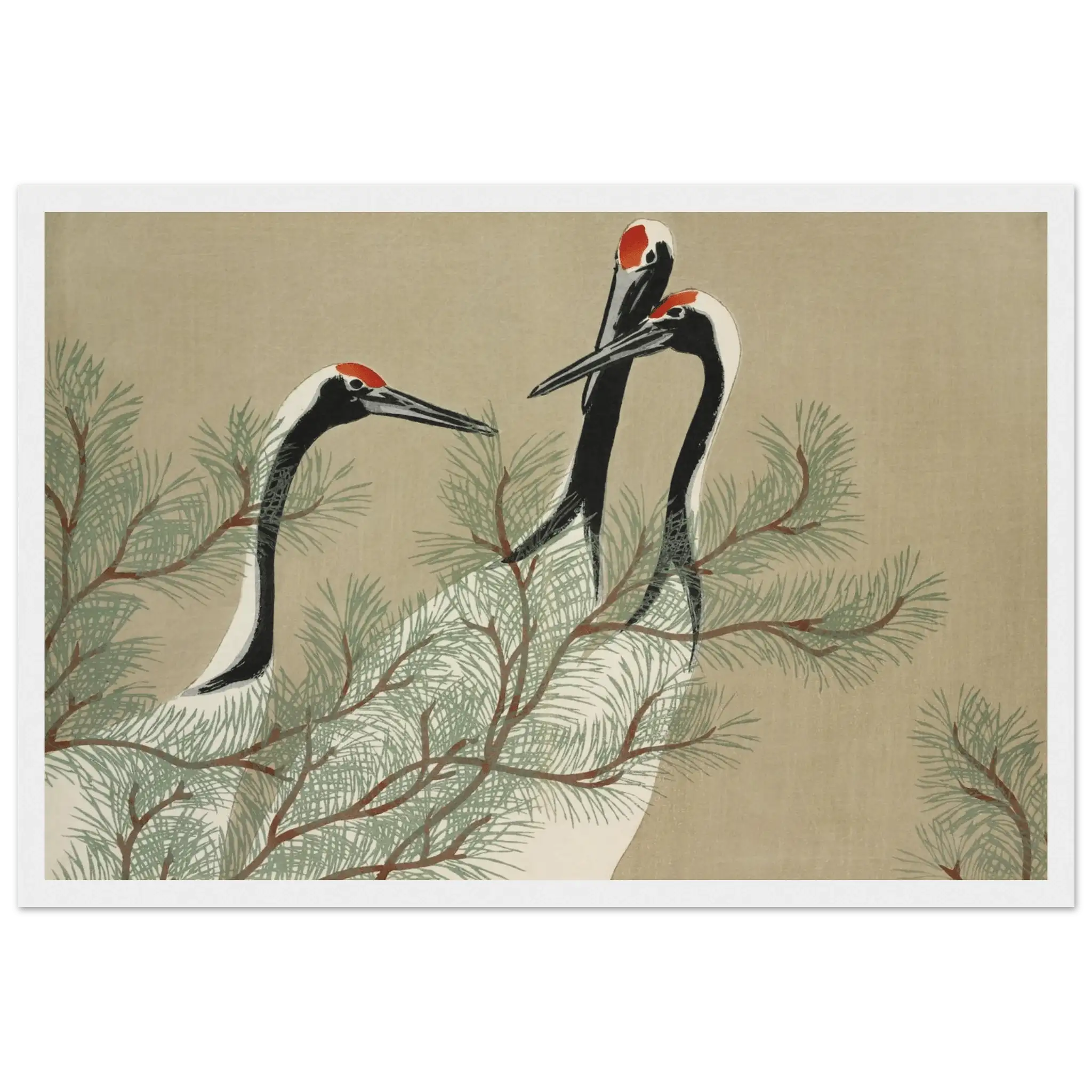 Kraniche im Kiefernwald - Gerahmte Eleganz - HINORI