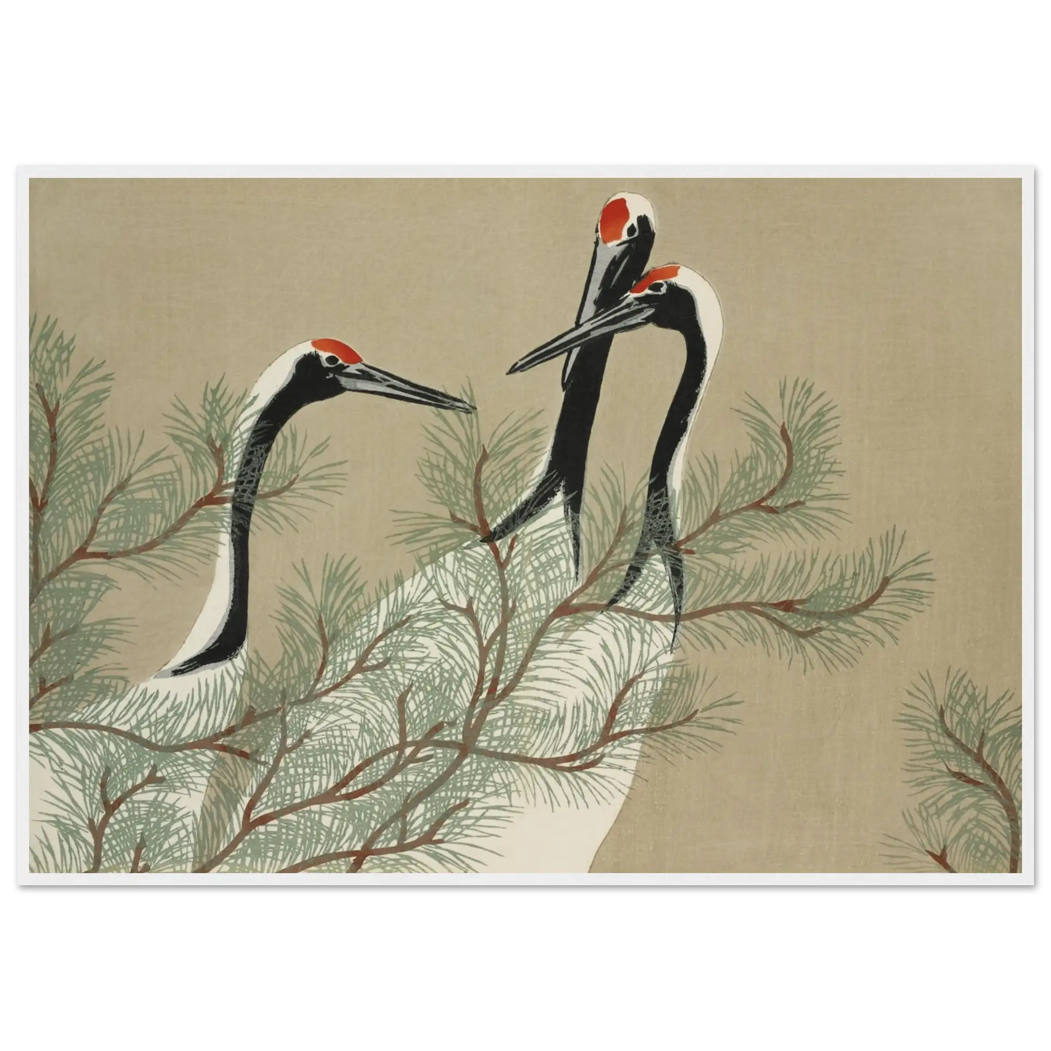 Kraniche im Kiefernwald - Gerahmte Eleganz - HINORI