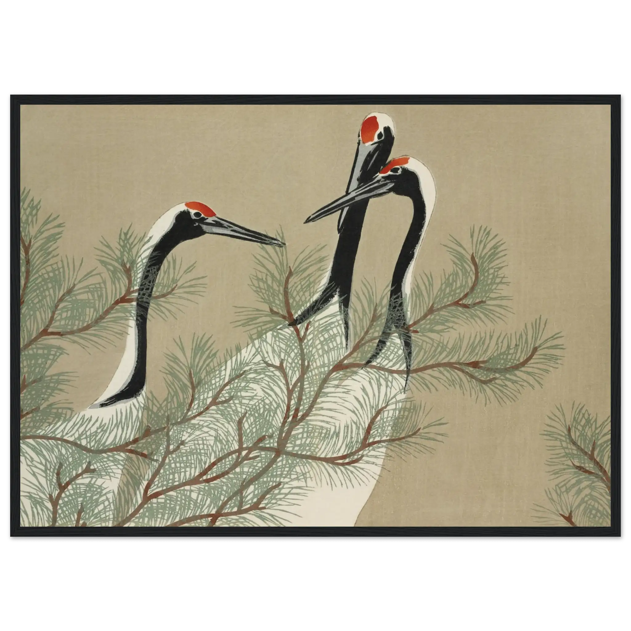 Kraniche im Kiefernwald - Gerahmte Eleganz - HINORI