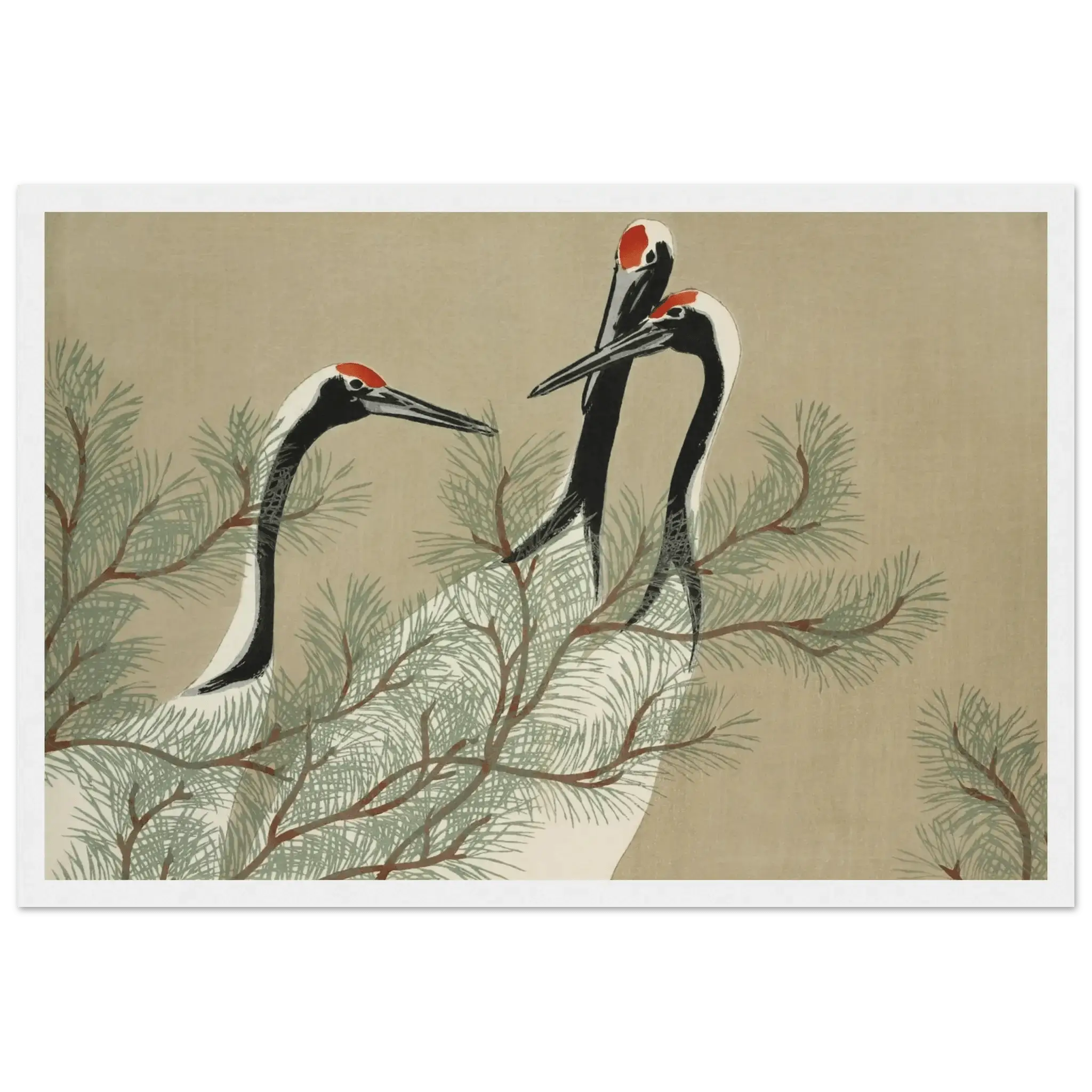 Kraniche im Kiefernwald - Gerahmte Eleganz - HINORI