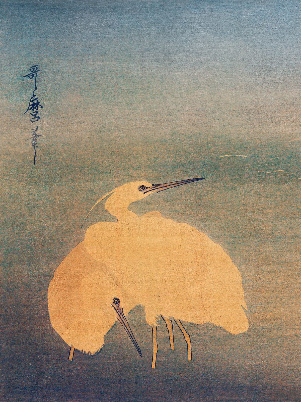 Kormoran und Reiher - Gerahmte Eleganz