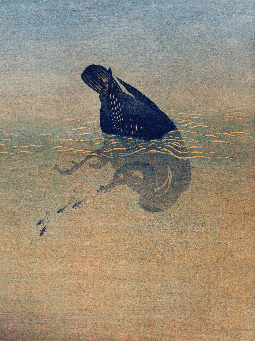 Kormoran und Reiher - Signature Collection