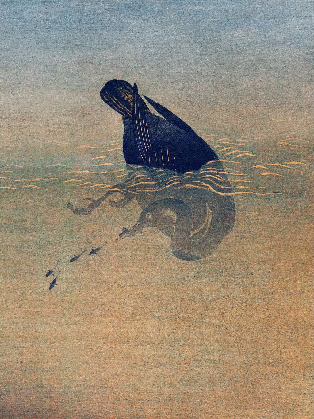 Kormoran und Reiher - Gerahmte Eleganz