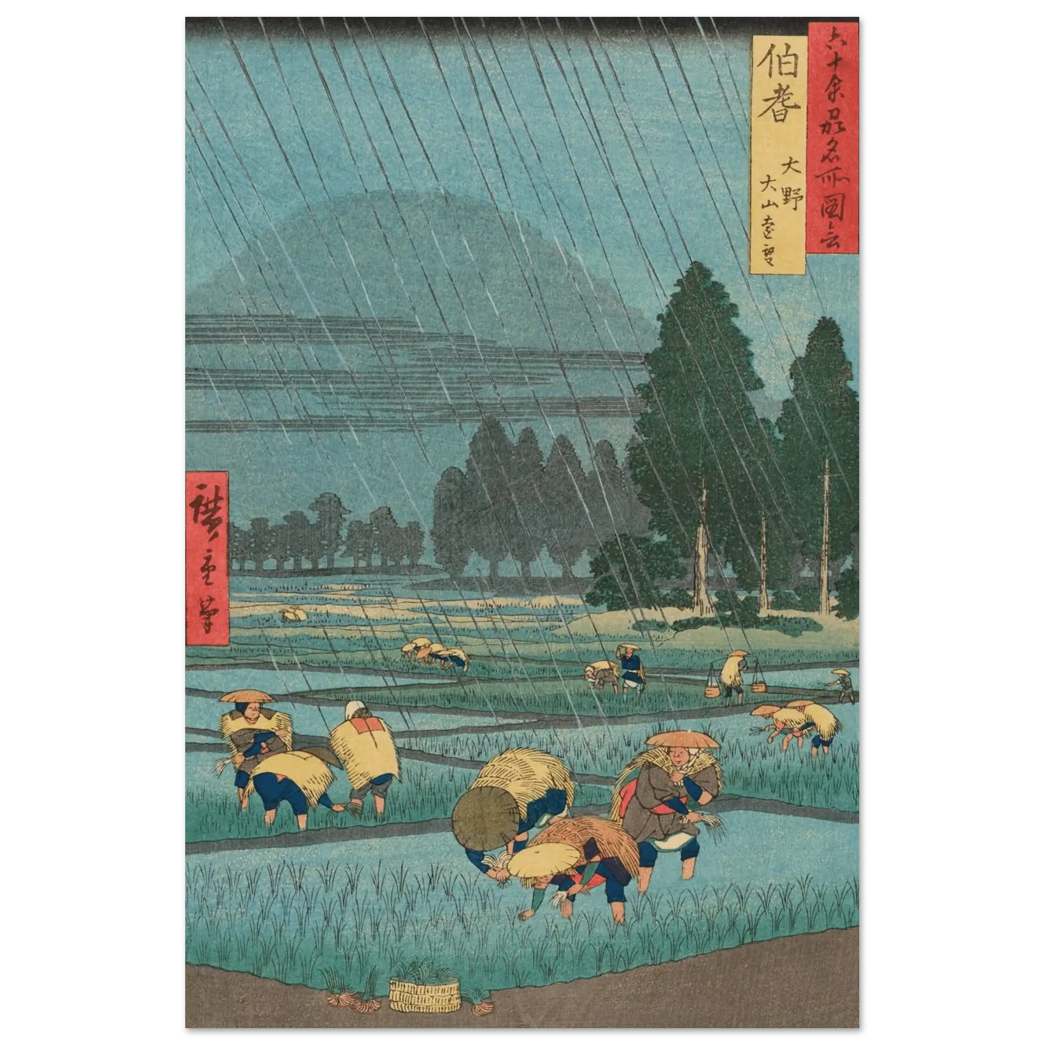 Regen über den Reisfeldern - Fine Art Prints - HINORI