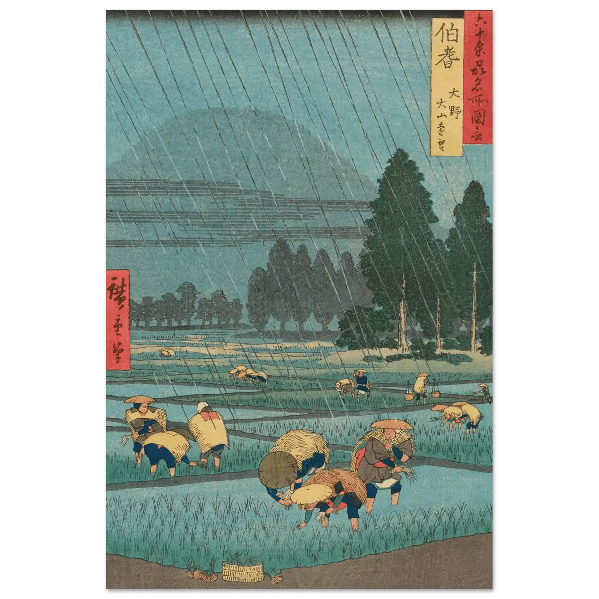 Regen über den Reisfeldern - Fine Art Prints - HINORI