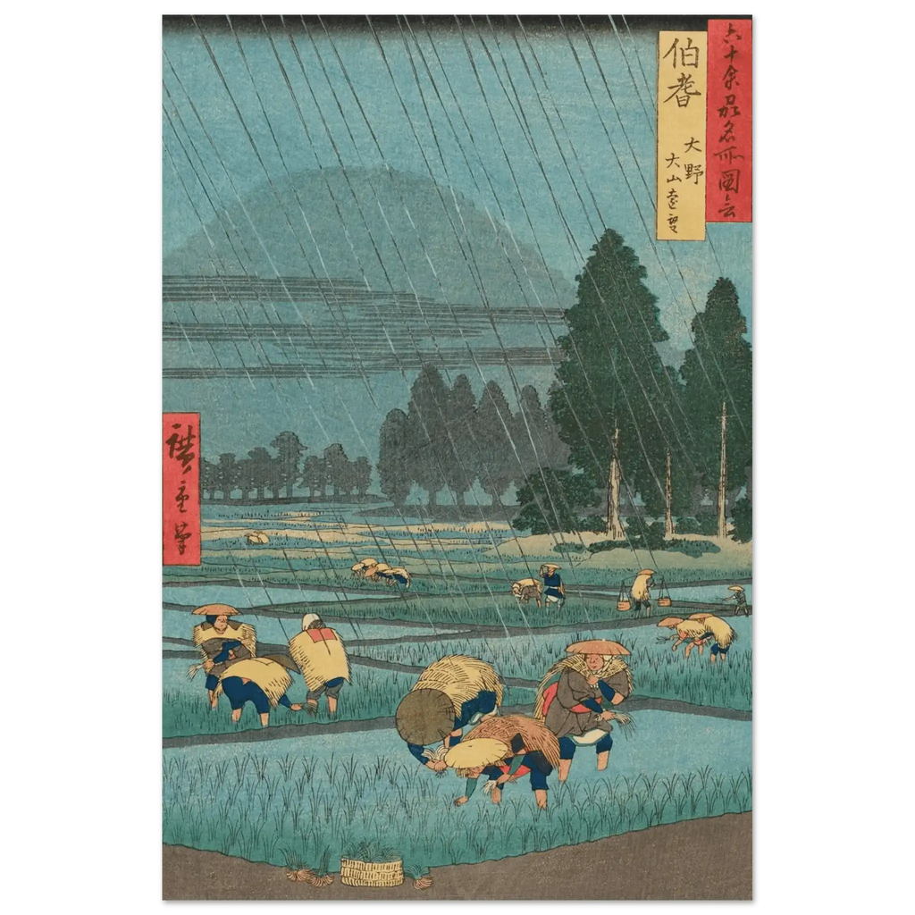 Regen über den Reisfeldern - Fine Art Prints - HINORI