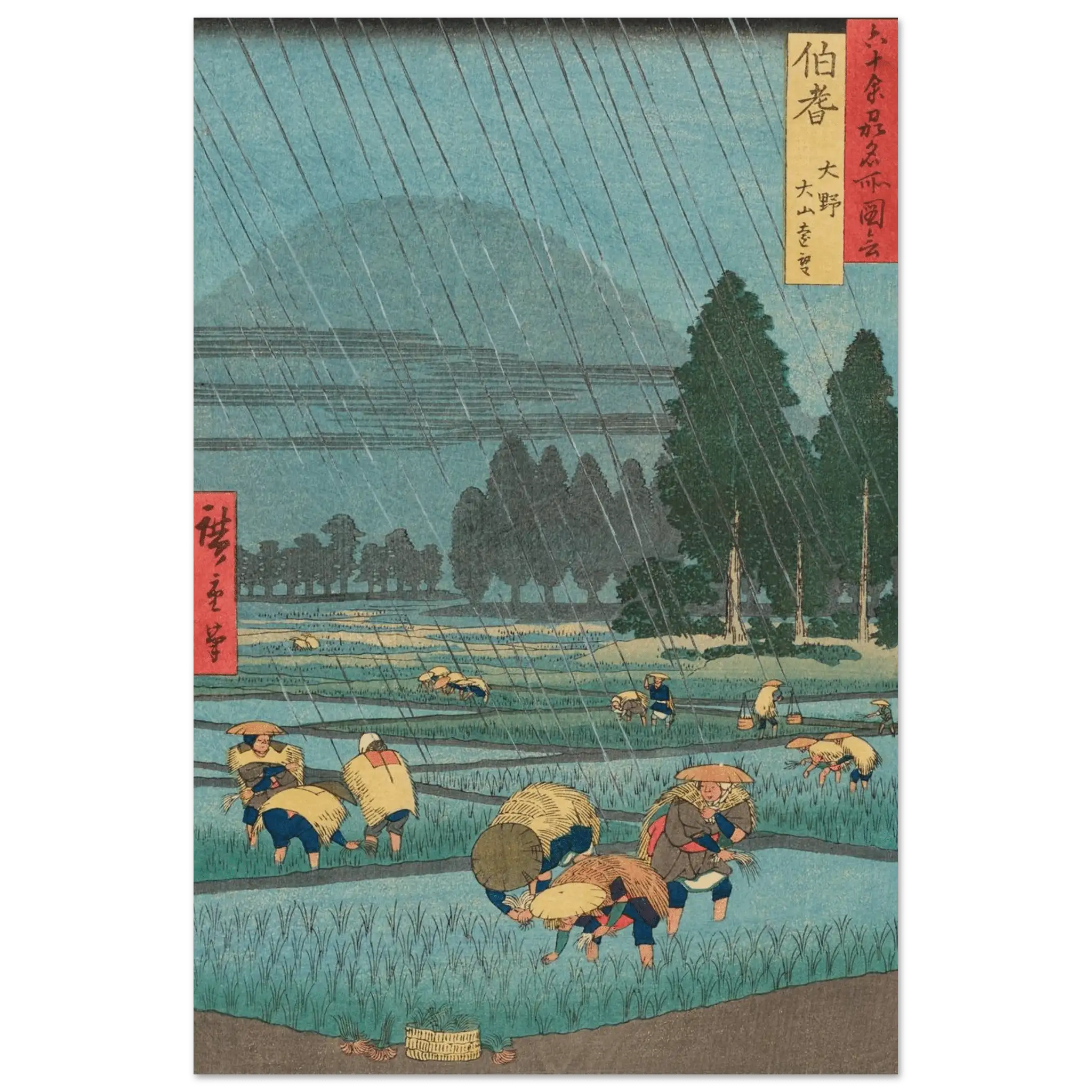 Regen über den Reisfeldern - Fine Art Prints - HINORI