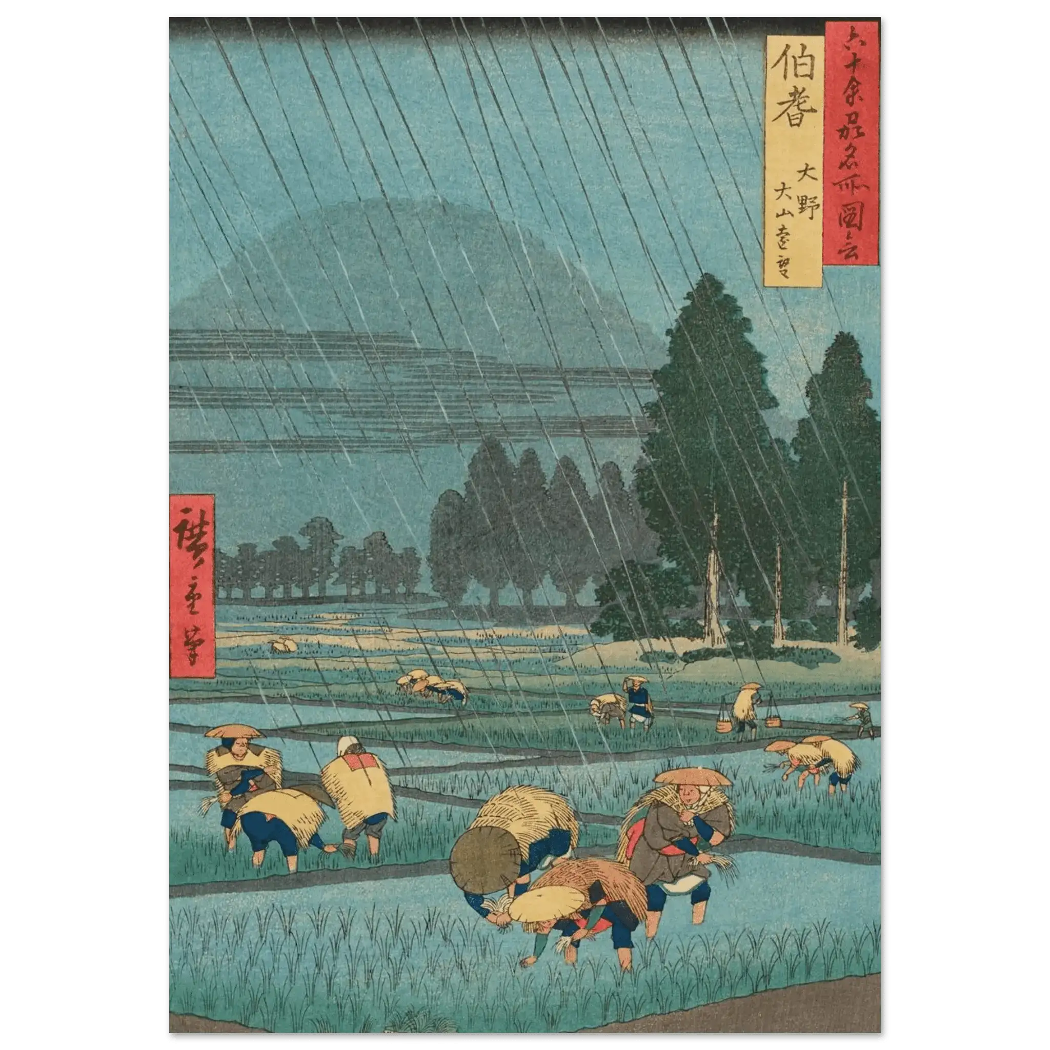 Regen über den Reisfeldern - Fine Art Prints - HINORI