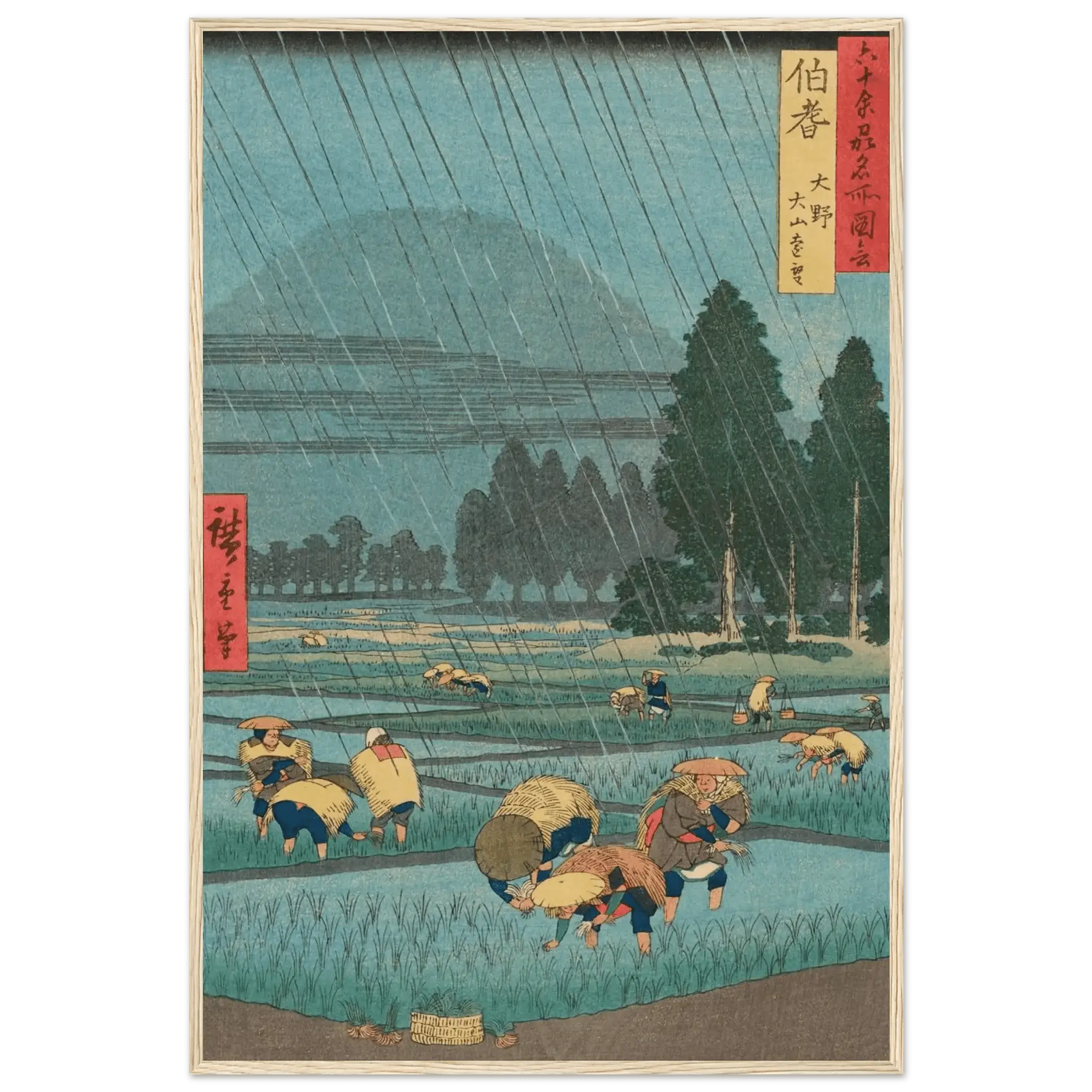 Regen über den Reisfeldern - Gerahmte Eleganz - HINORI