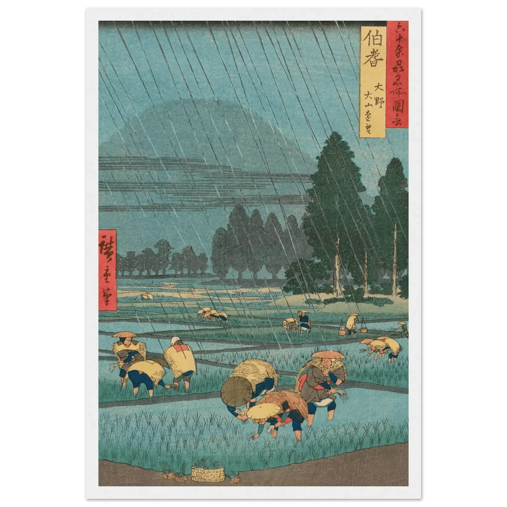 Regen über den Reisfeldern - Gerahmte Eleganz - HINORI