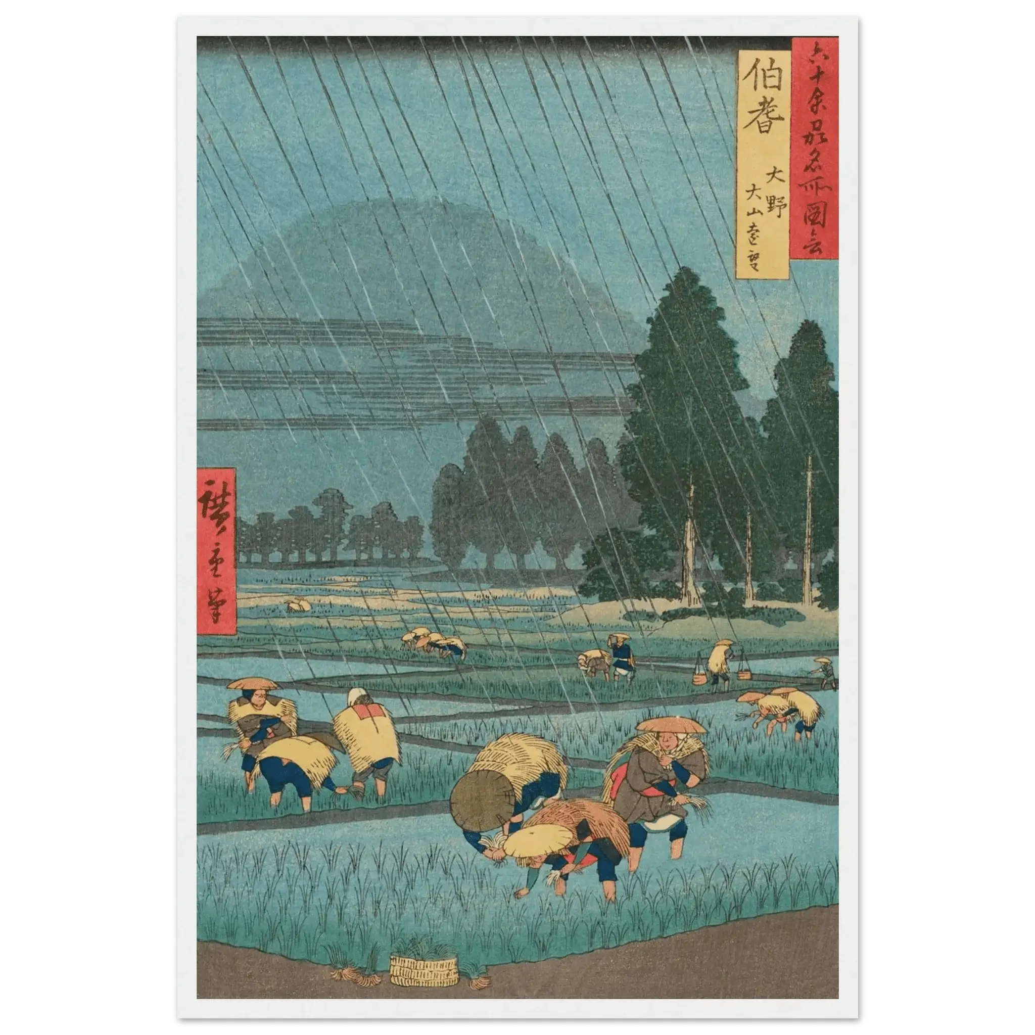 Regen über den Reisfeldern - Gerahmte Eleganz - HINORI