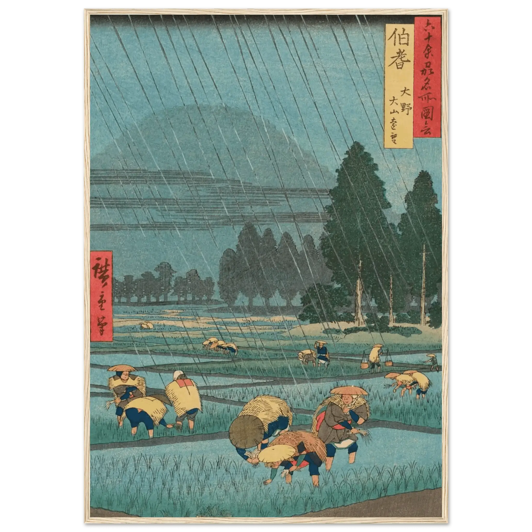 Regen über den Reisfeldern - Gerahmte Eleganz - HINORI