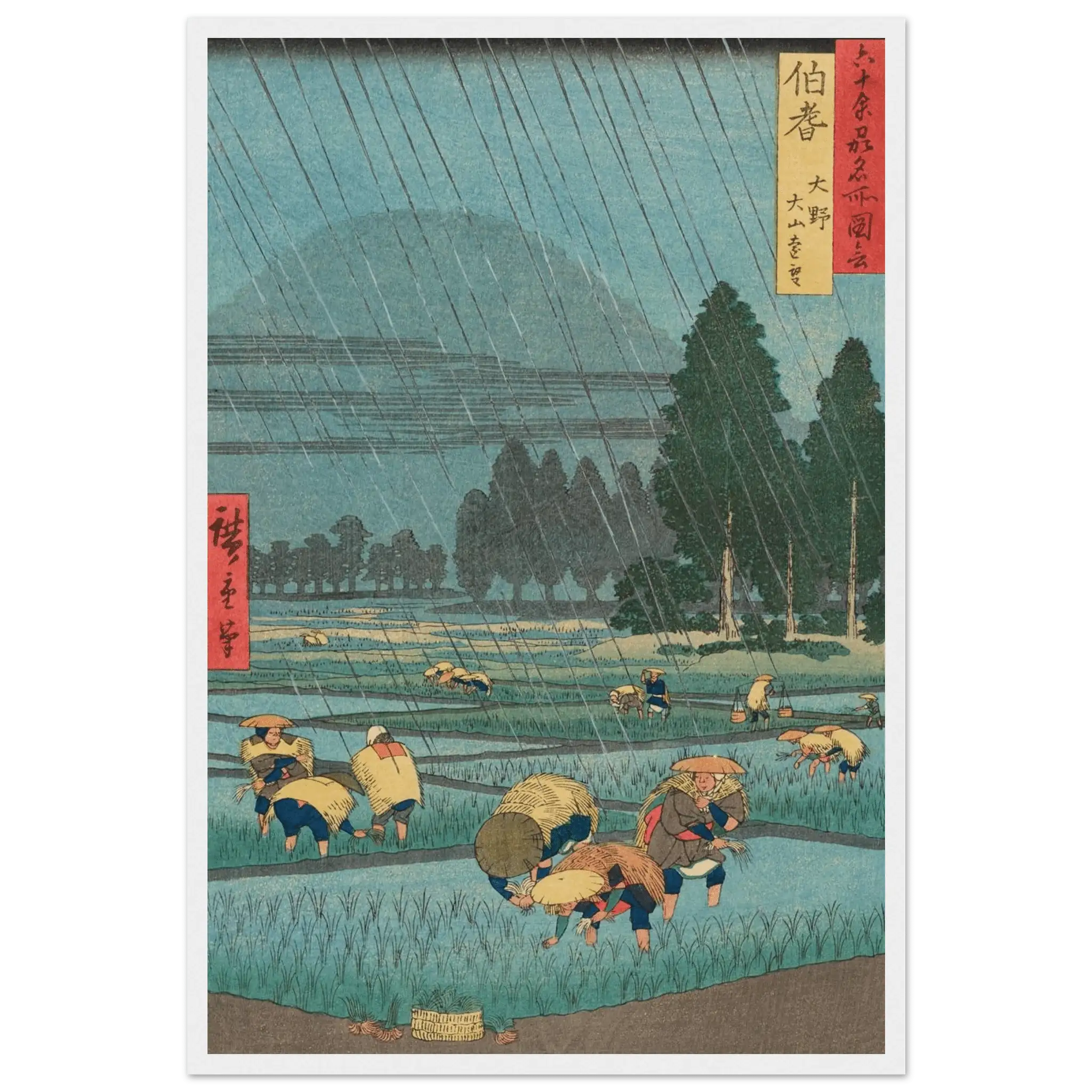 Regen über den Reisfeldern - Gerahmte Eleganz - HINORI