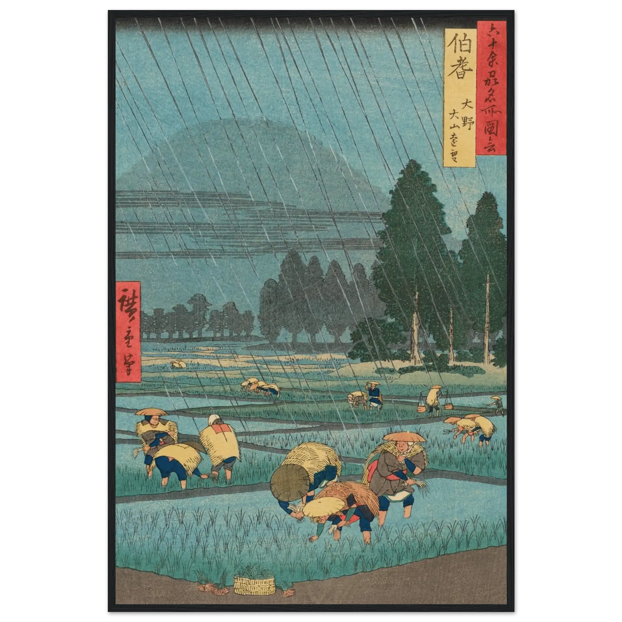 Regen über den Reisfeldern - Gerahmte Eleganz - HINORI