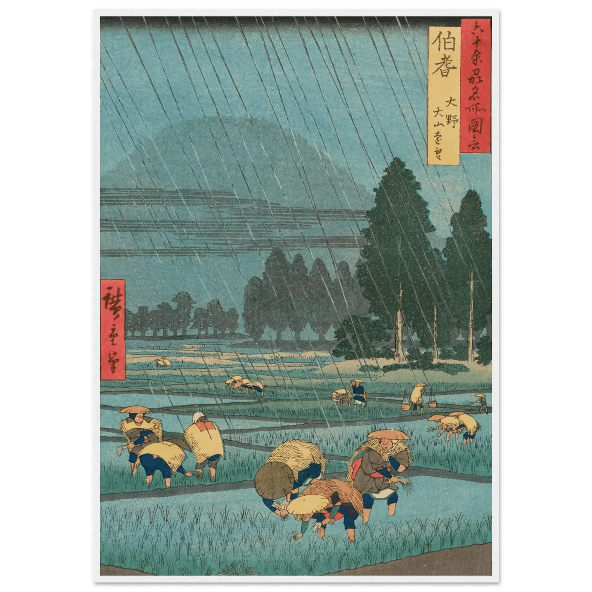 Regen über den Reisfeldern - Gerahmte Eleganz - HINORI