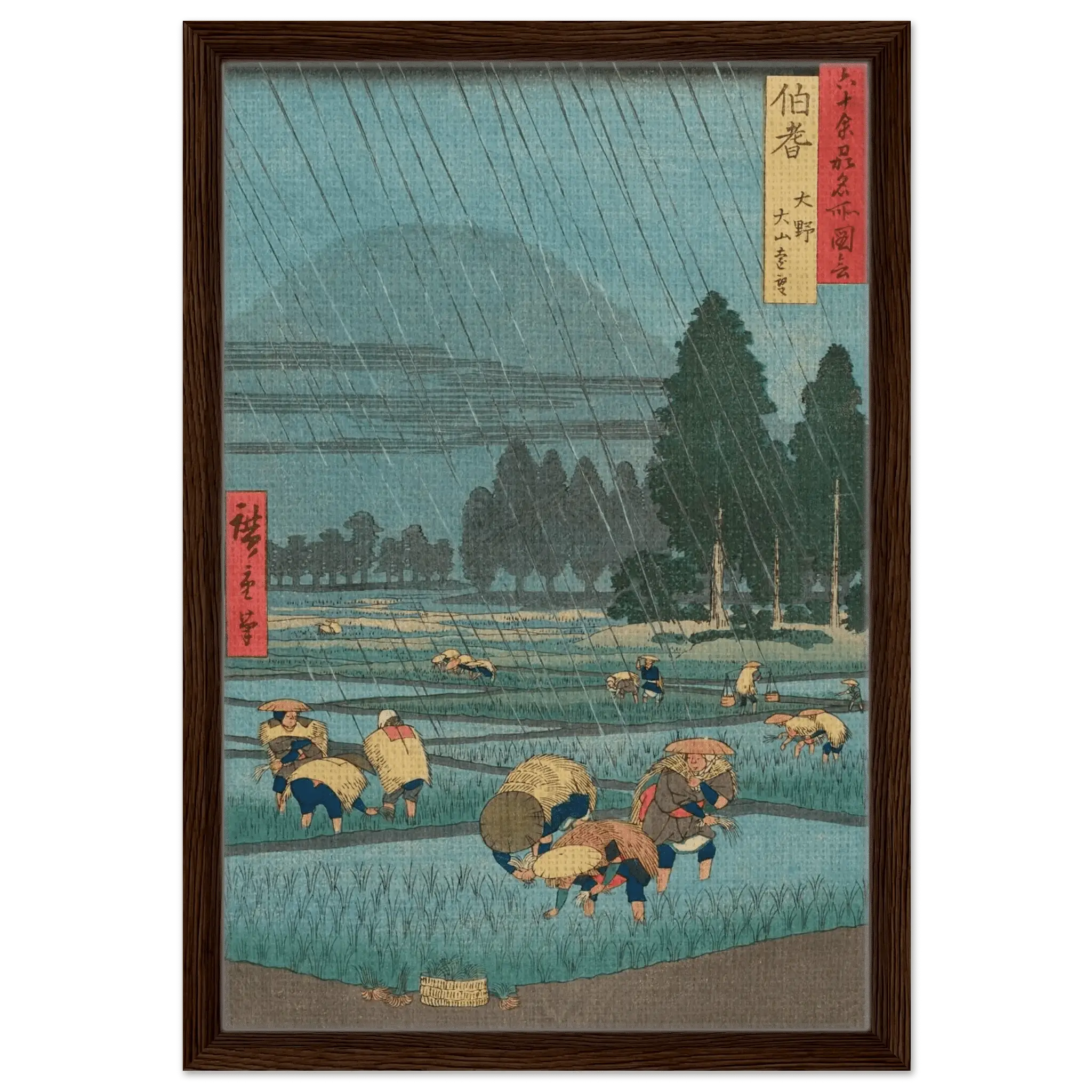 Regen über den Reisfeldern - Signature Collection - HINORI