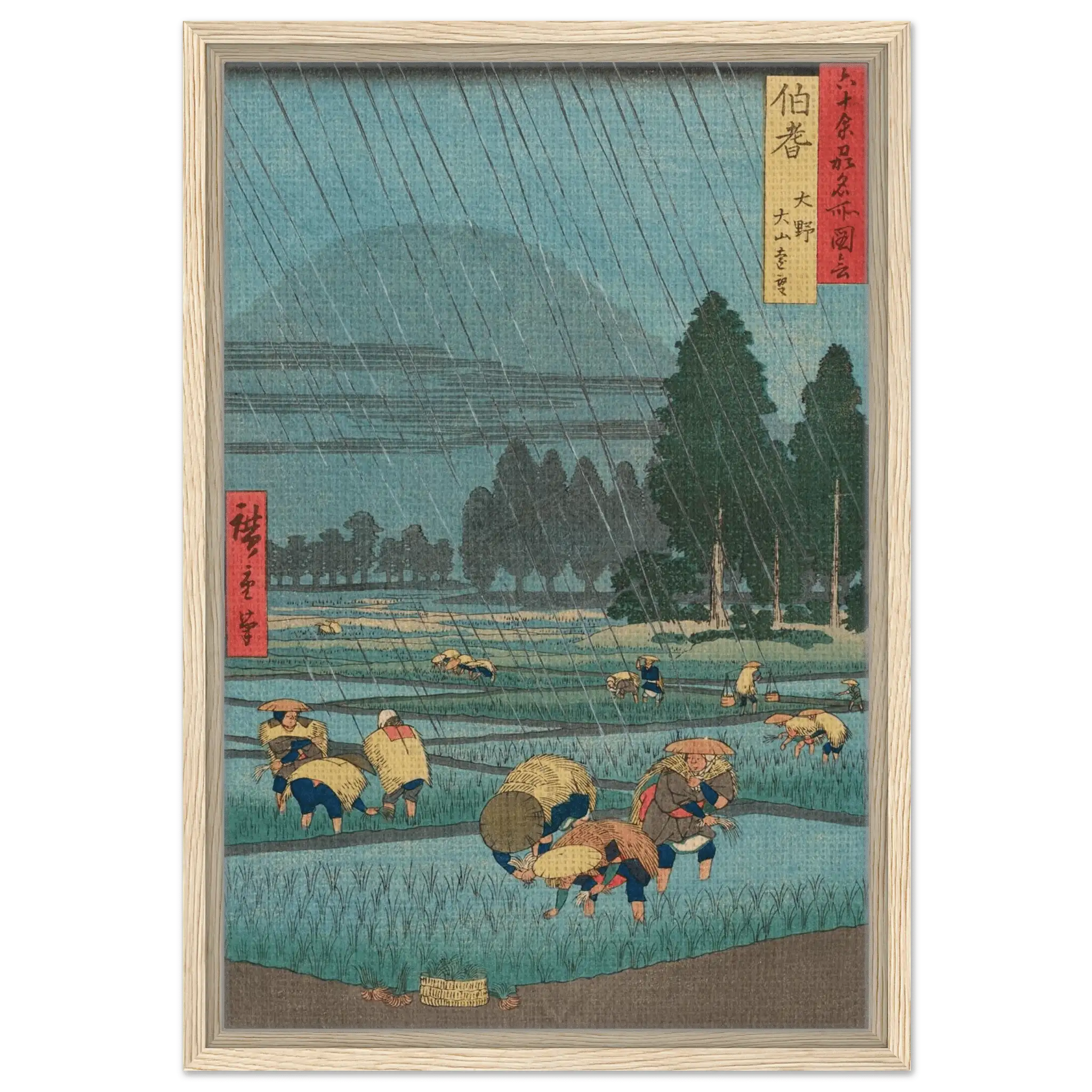 Regen über den Reisfeldern - Signature Collection - HINORI