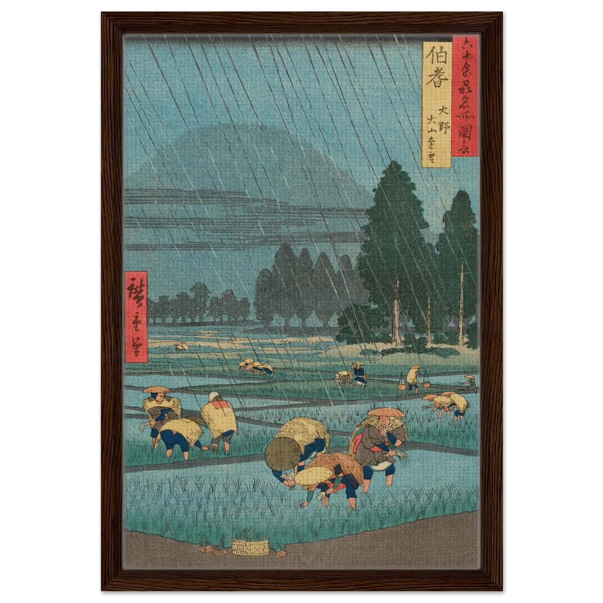 Regen über den Reisfeldern - Signature Collection - HINORI