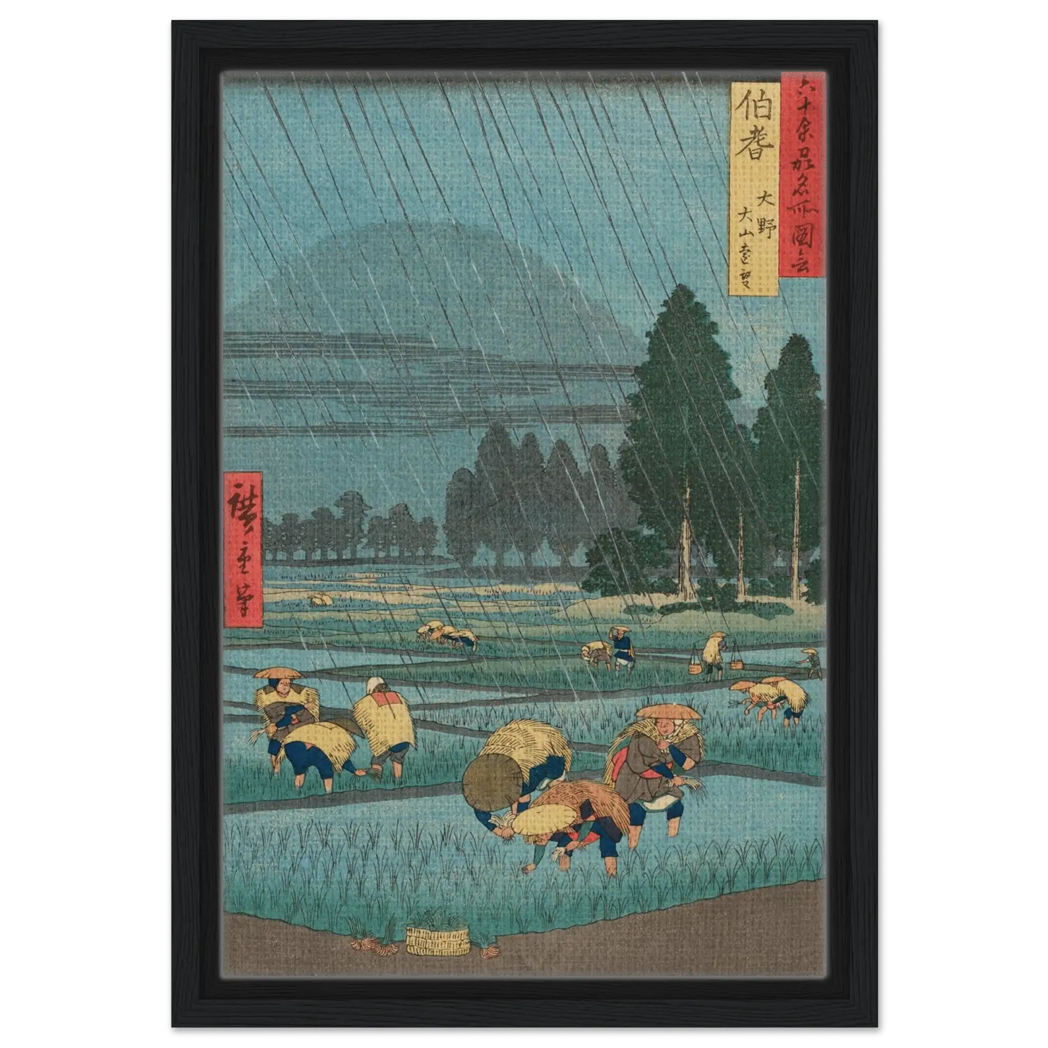 Regen über den Reisfeldern - Signature Collection - HINORI