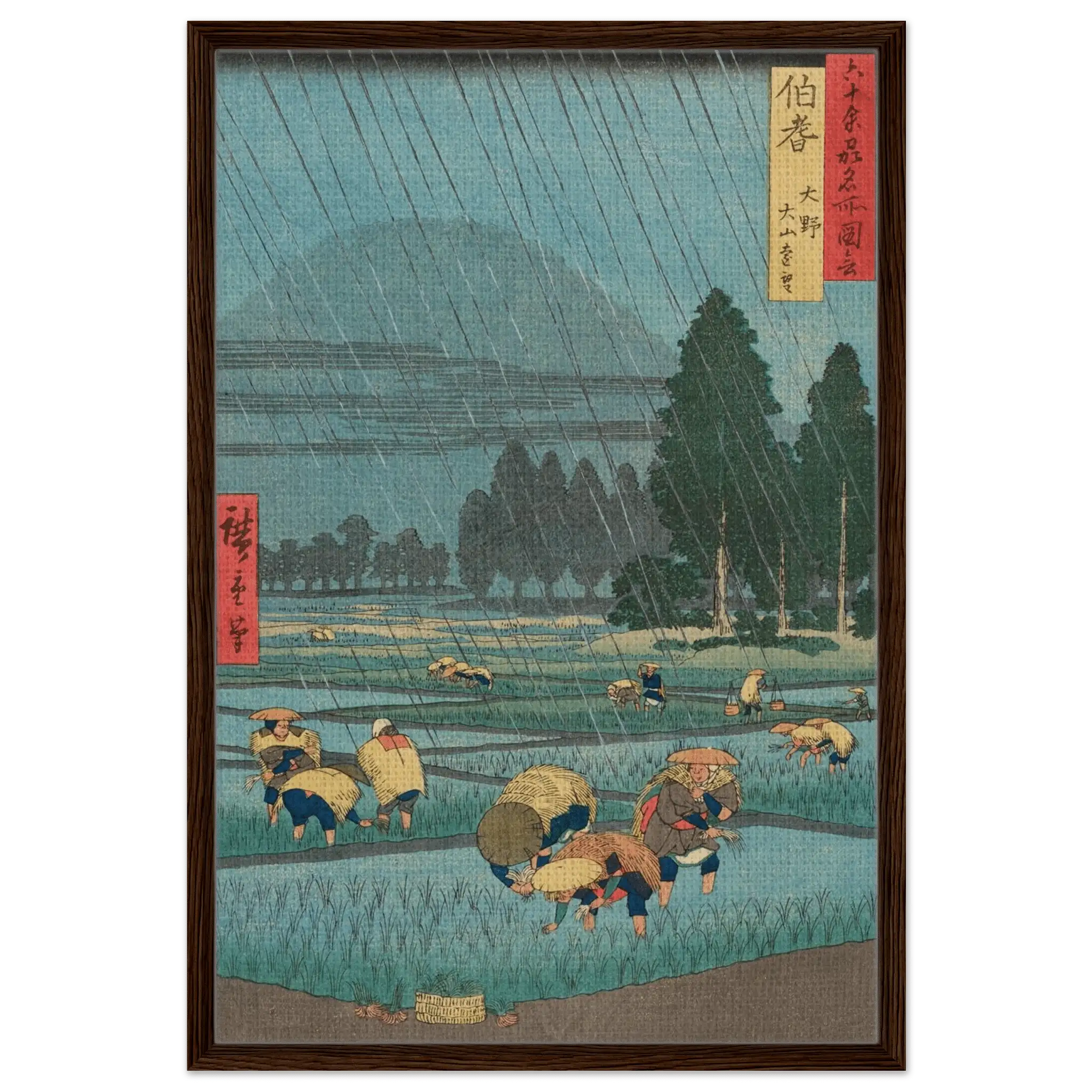 Regen über den Reisfeldern - Signature Collection - HINORI