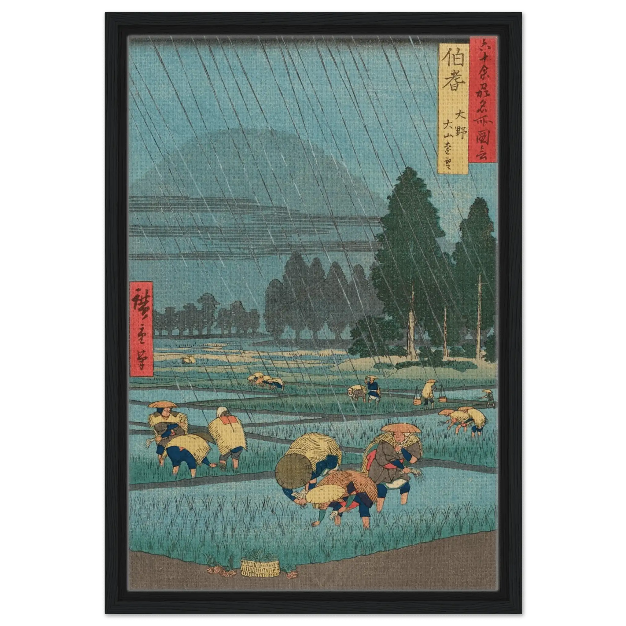 Regen über den Reisfeldern - Signature Collection - HINORI